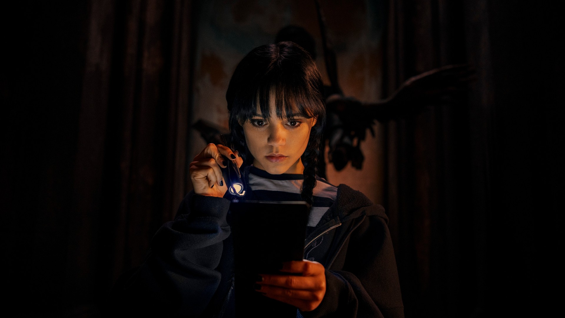 Mercoledì Addams con corvo, 1920x1080 Full HD, Laptop