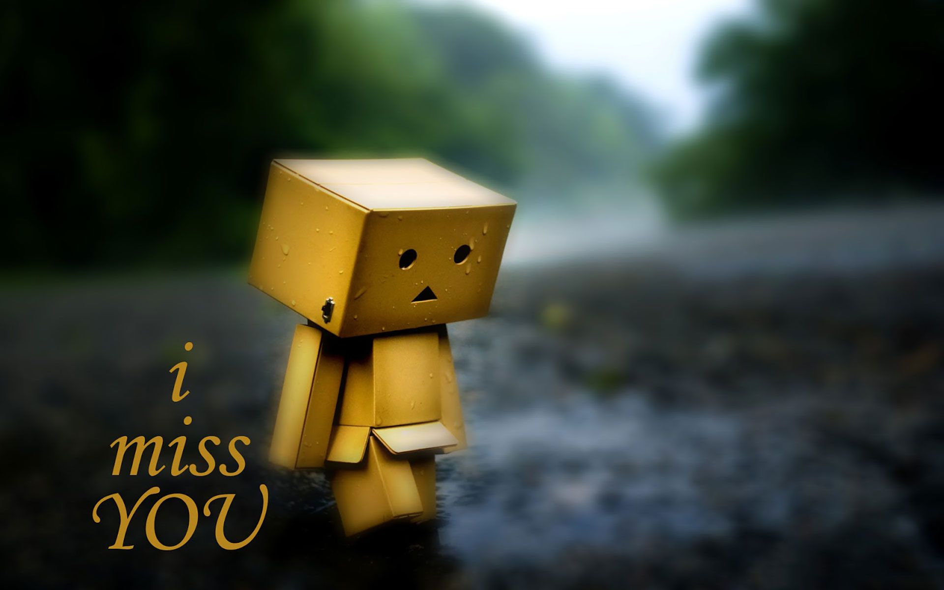 Danbo triste su sentiero, 1920x1200 Full HD+ WUXGA, Desktop