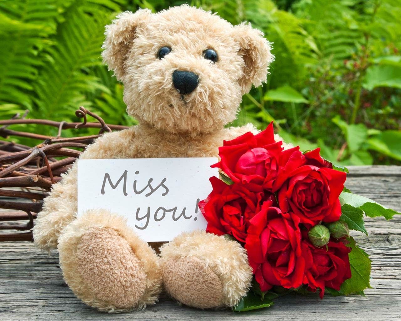 Orsacchiotto con rose rosse, 1280x1024 HD, Desktop