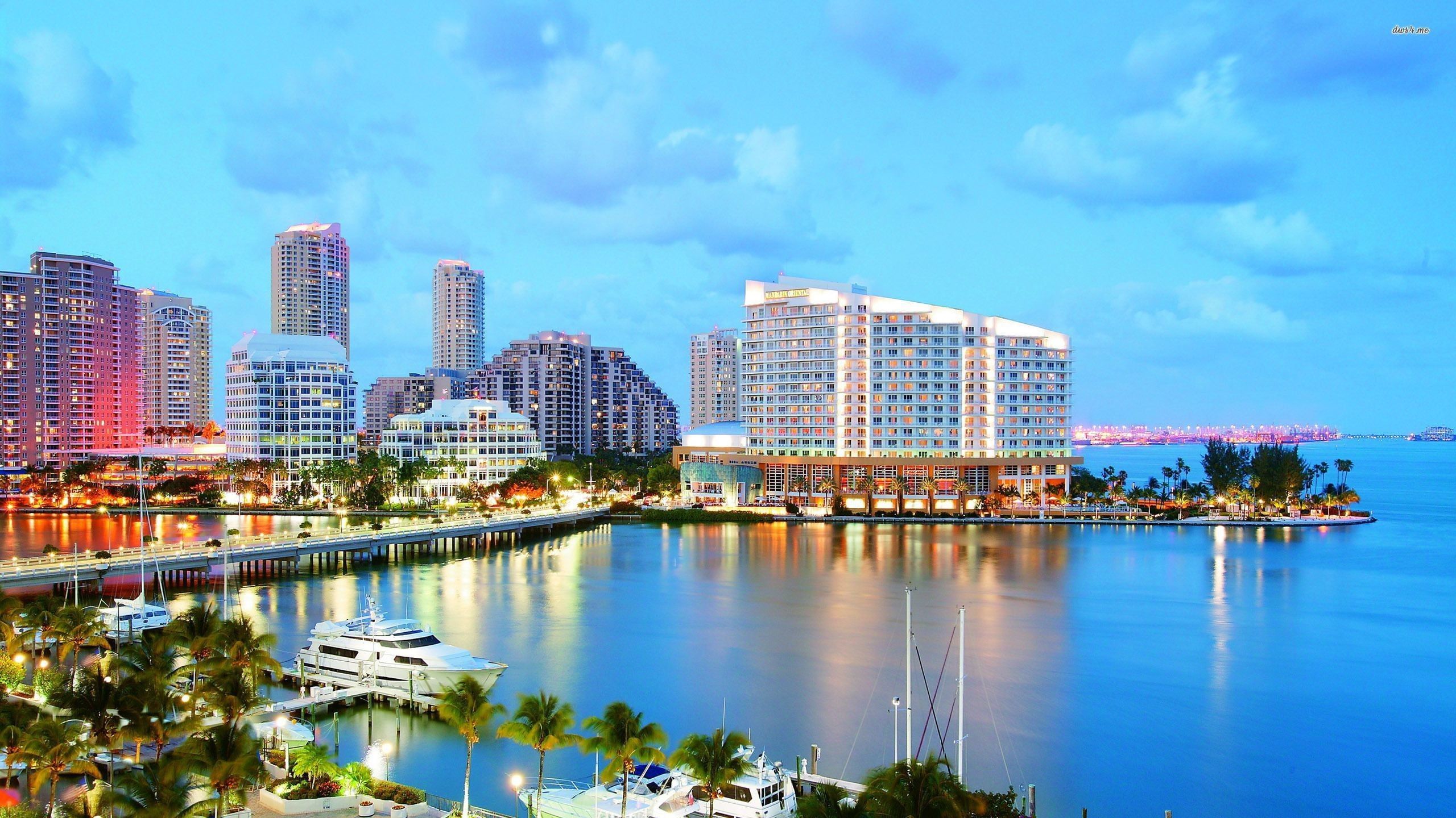 Skyline di Miami al tramonto, 2560x1440 2K QHD, ROG Asus Laptop