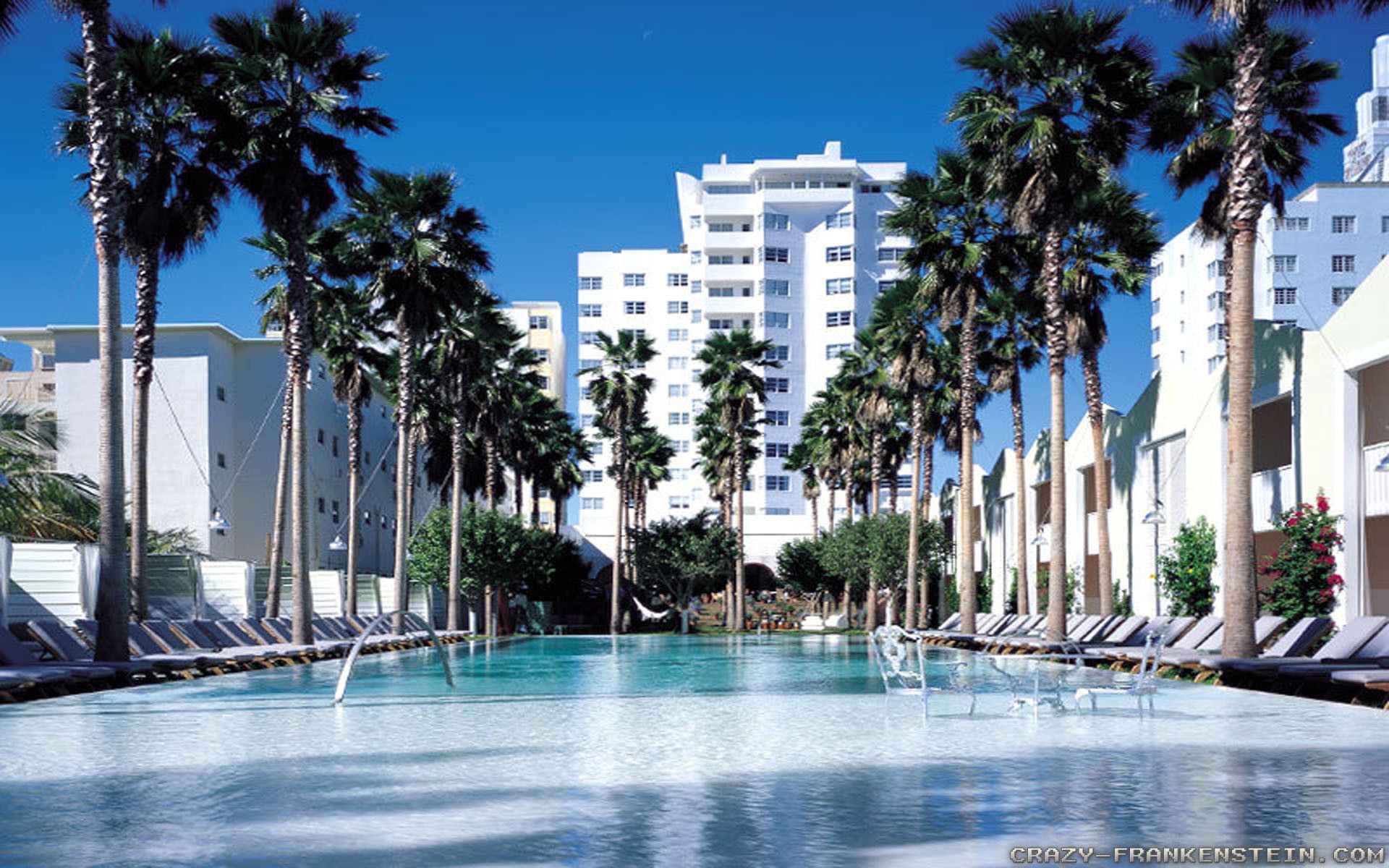Piscina hotel Miami con palme, 1920x1200 Full HD+, MacBook Pro