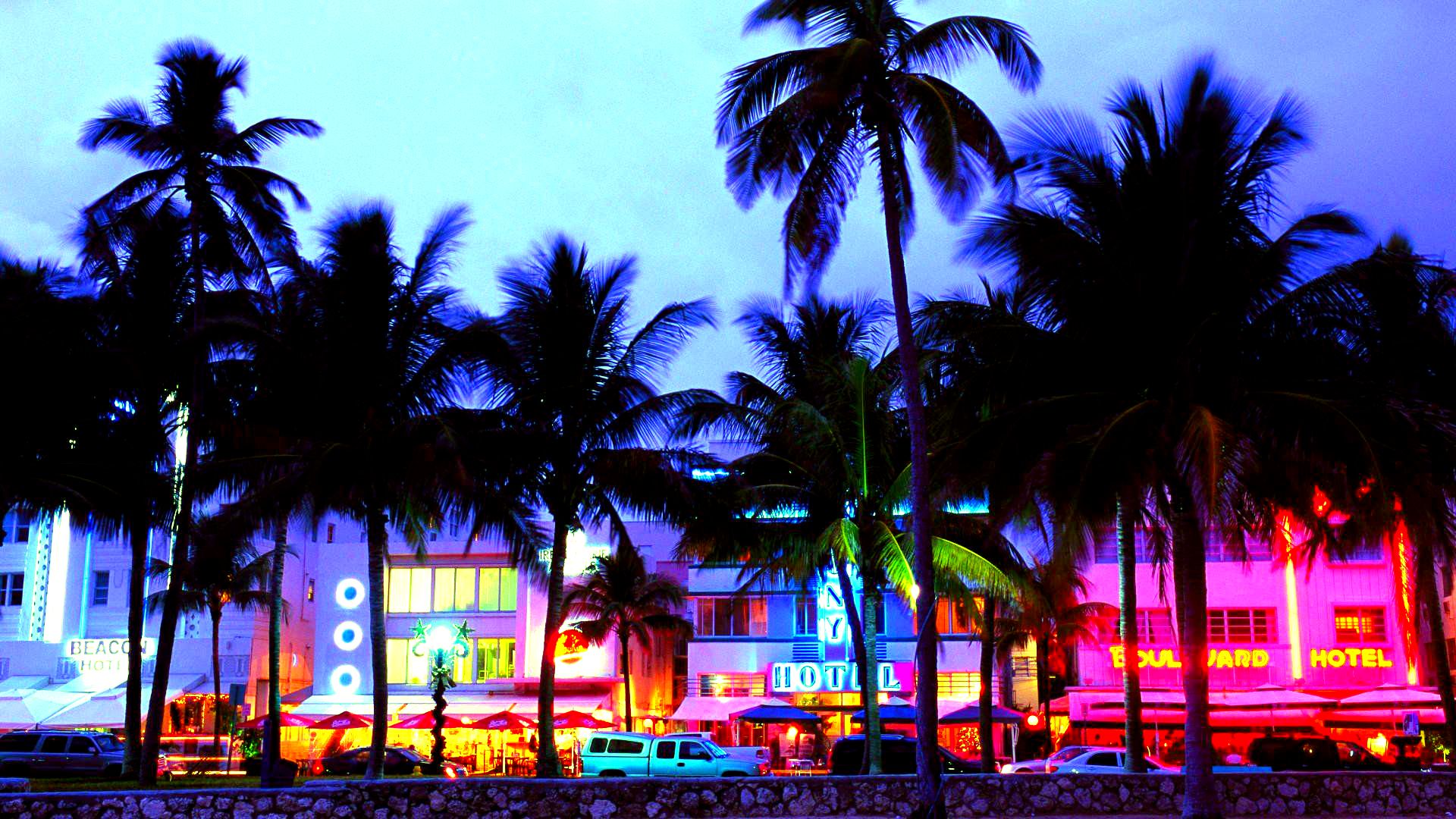 Palme e hotel Miami notte, 1920x1080 Full HD 1080p, Laptop
