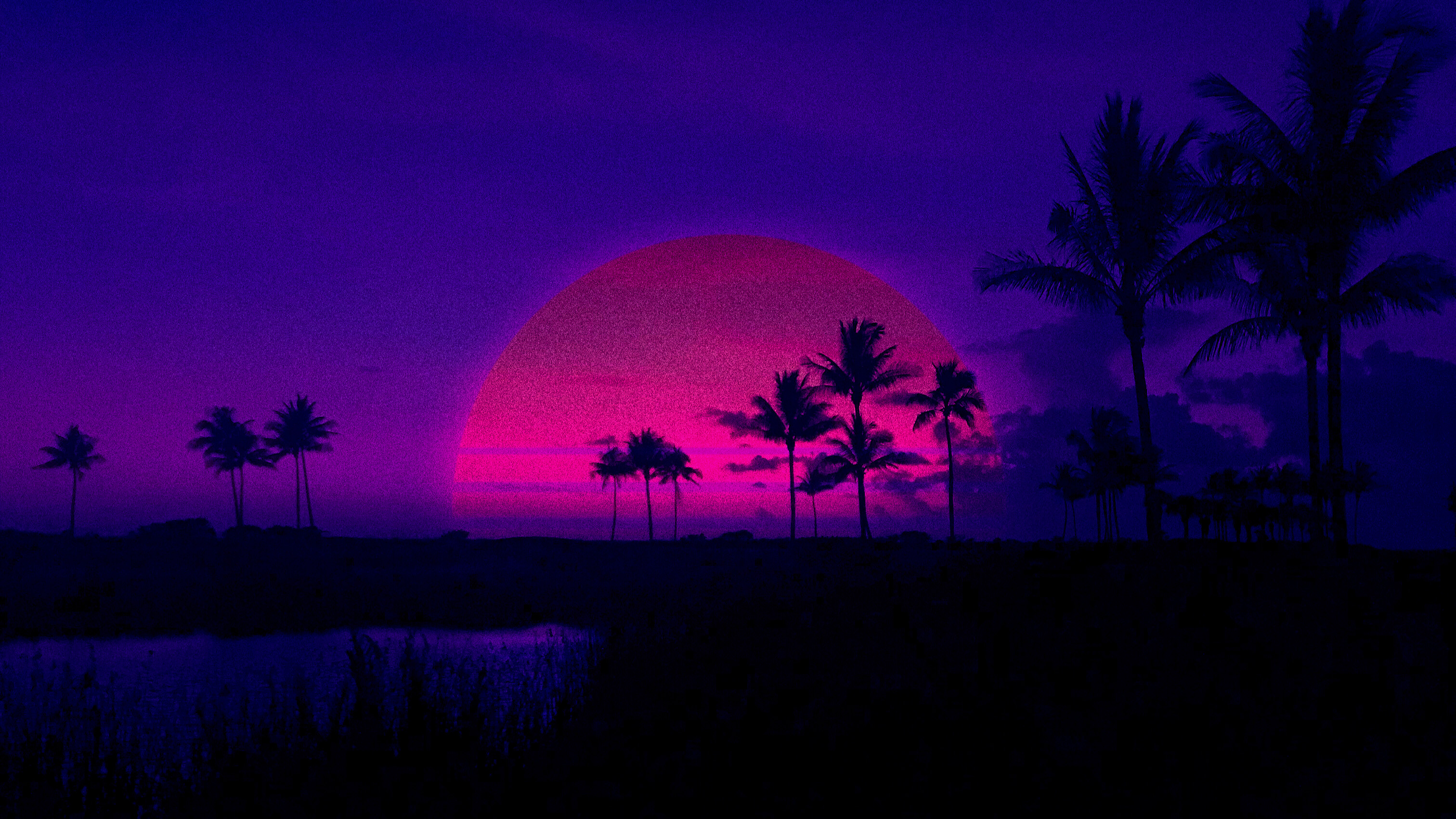 Tramonto viola con palme, 3024x1701 WQXGA, Desktop