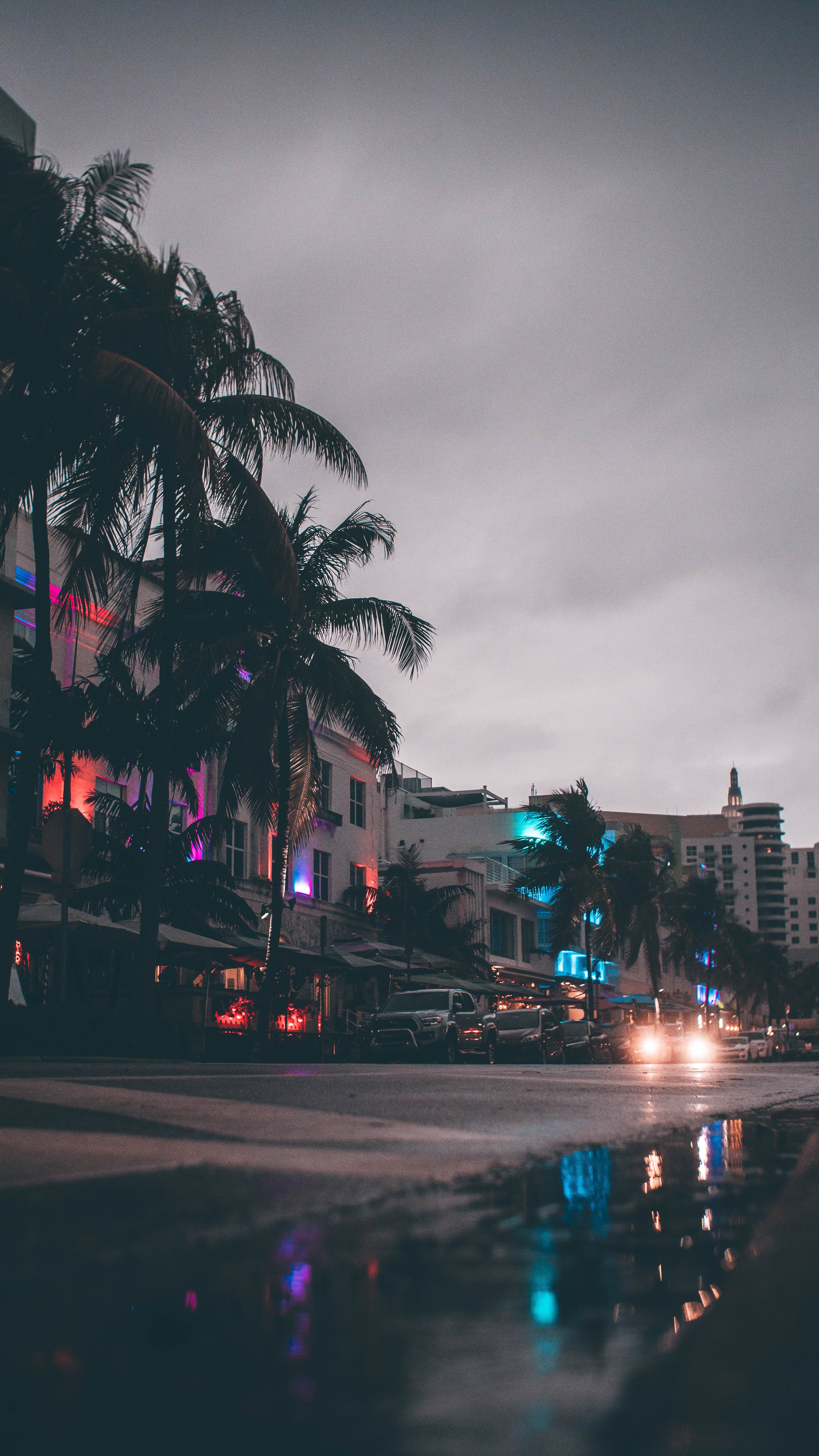 Strada Miami palme sera, 3376x6000 Verticale, Mobile