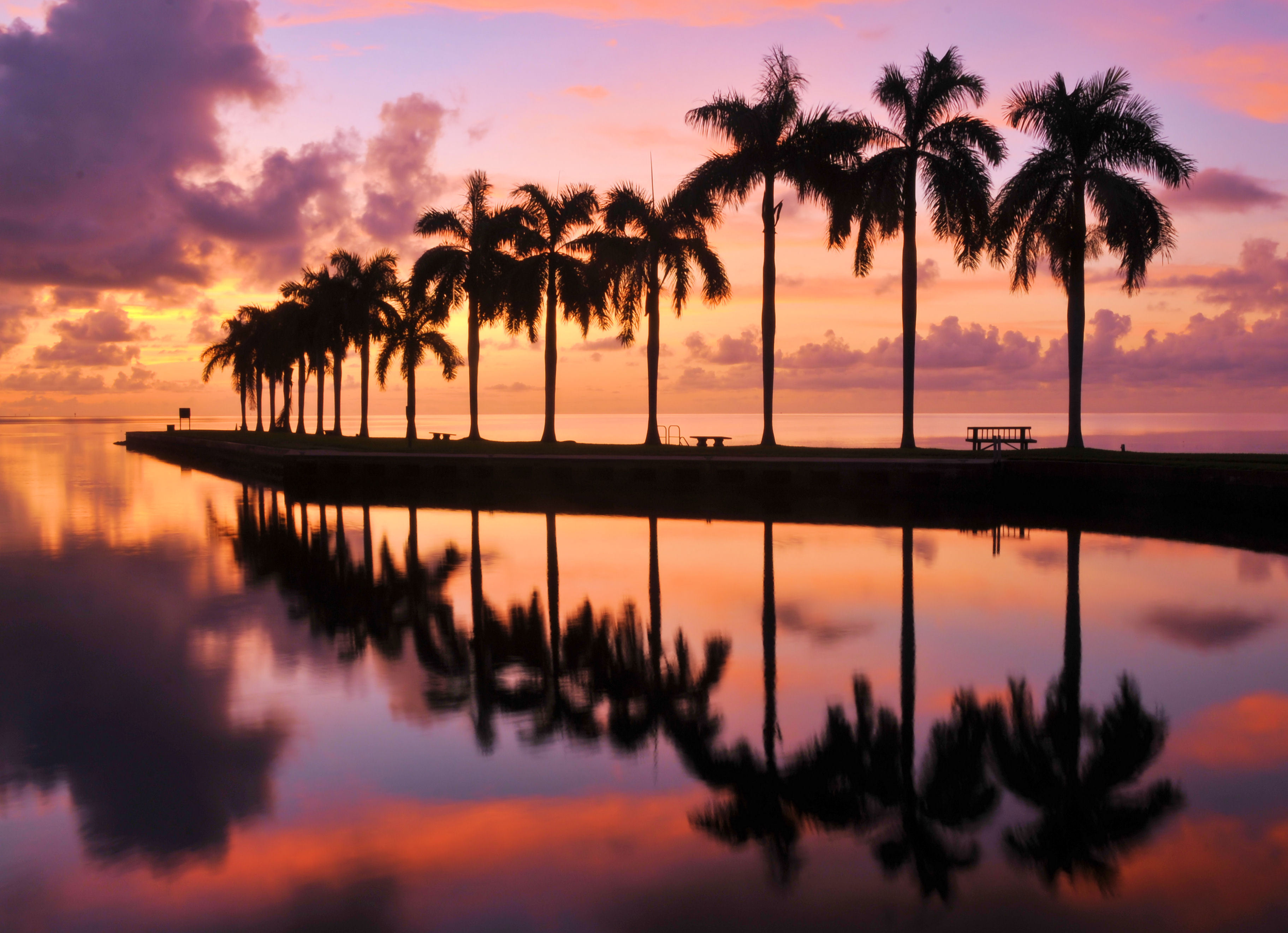Palme tramonto Miami spiaggia, 3647x2641 2K+, Desktop