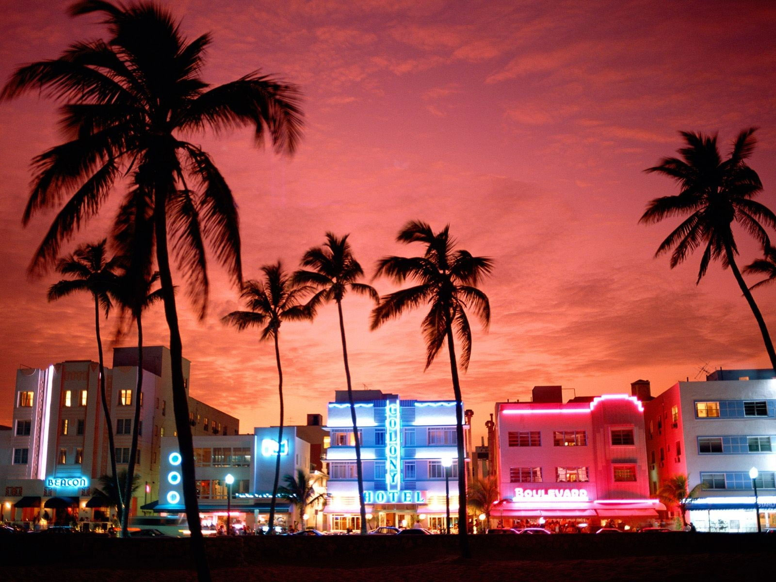 Miami tramonto palme neon, 1600x1200 900p, Desktop