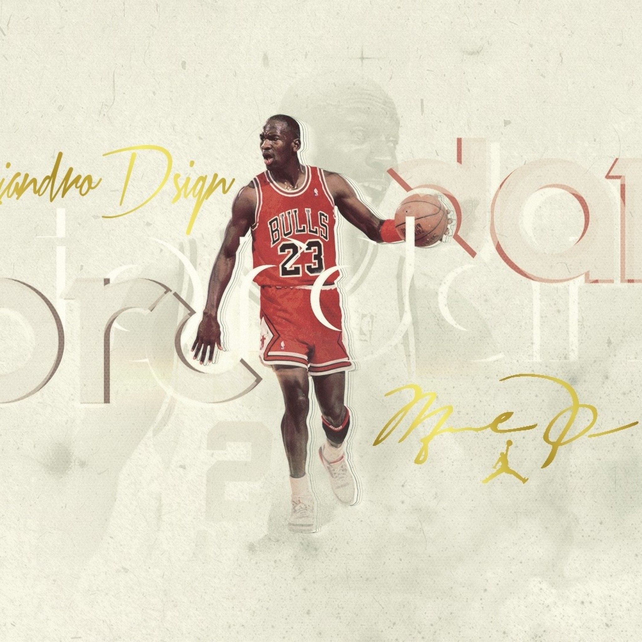 Michael Jordan Chicago Bulls basket, 2048x2048 Hi-Res, iPad mini