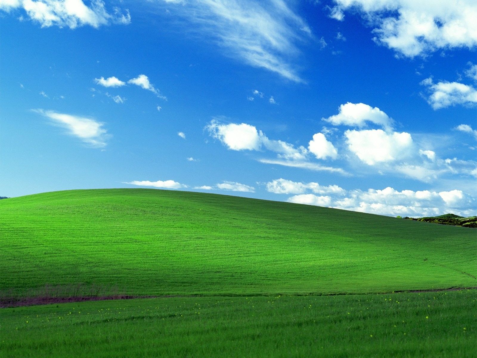 Collina verde cielo blu Windows XP, 1600x1200 HD Ready, Laptop