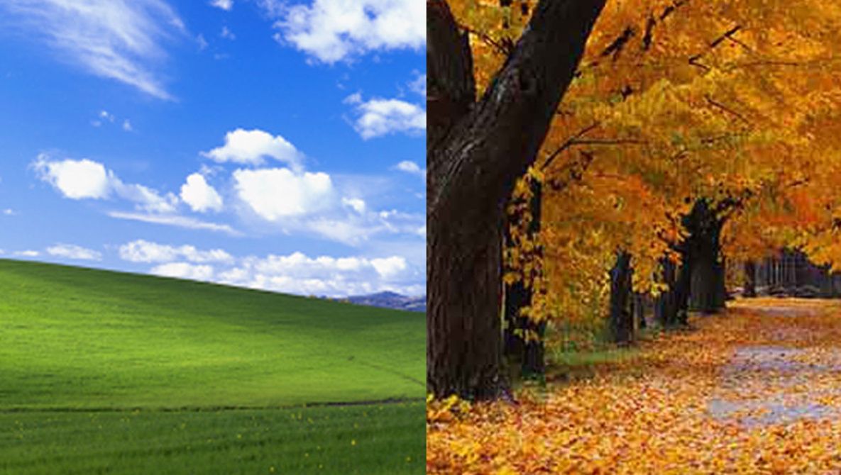 Logo Microsoft su texture nera, 1600x900 HD Ready, Desktop