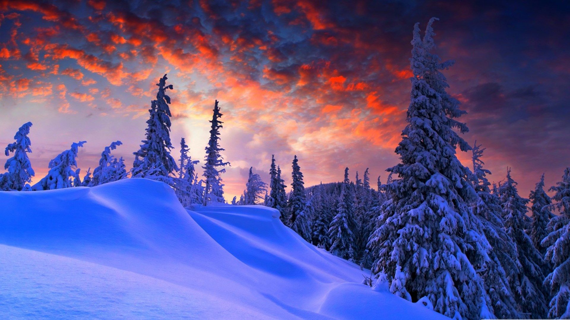 Tramonto invernale con abeti innevati, 1920x1080 Full HD 1080p, Desktop