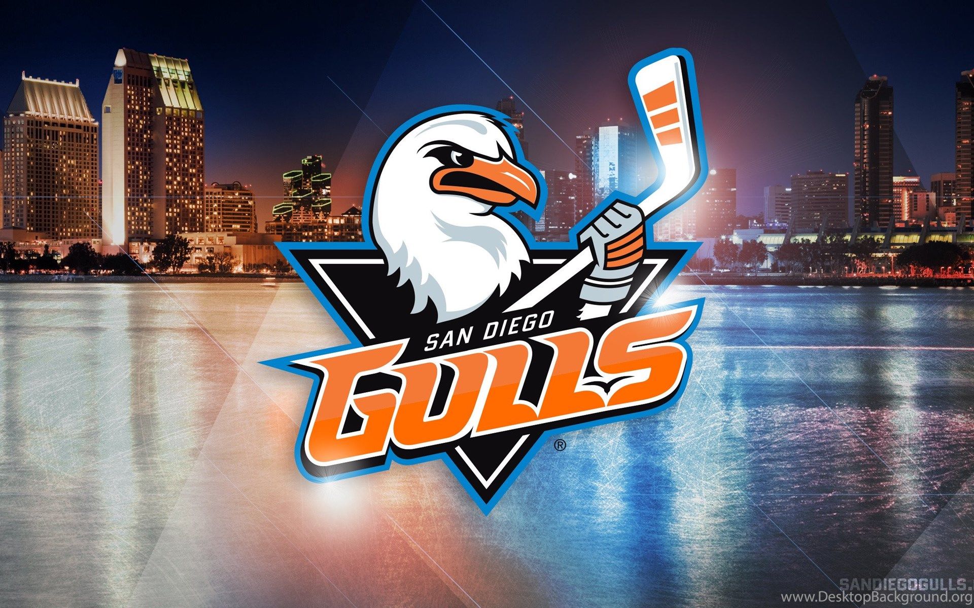 Anaheim Ducks giocatore hockey, 1920x1080 Full HD 1080p, Laptop