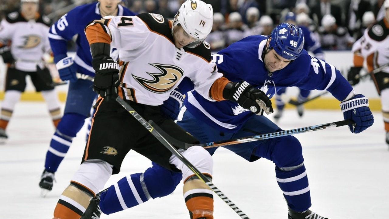 Mascotte Anaheim Ducks NHL, 1332x850 720p, PC
