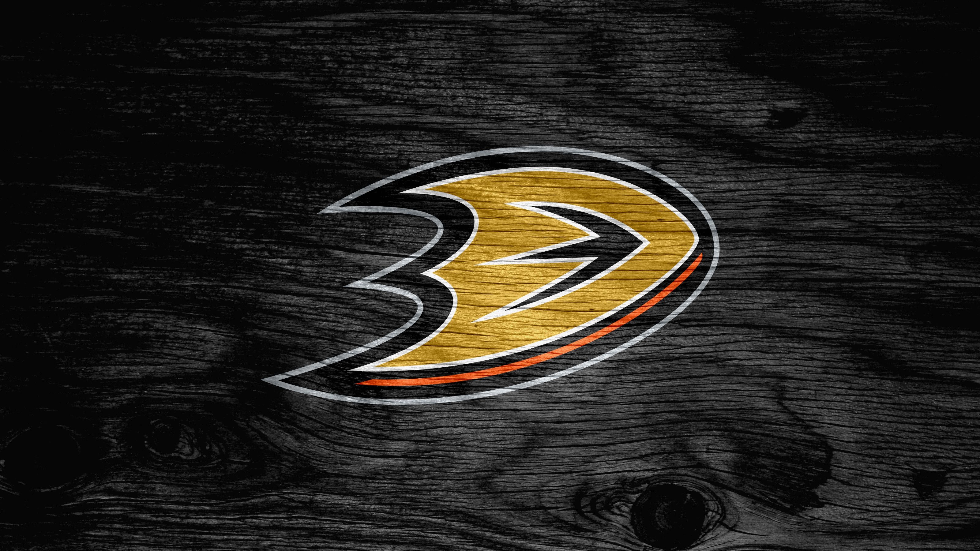 Papere neonate nell'acqua, hockey su ghiaccio, 1920x1200 Full HD+ WUXGA, Laptop
