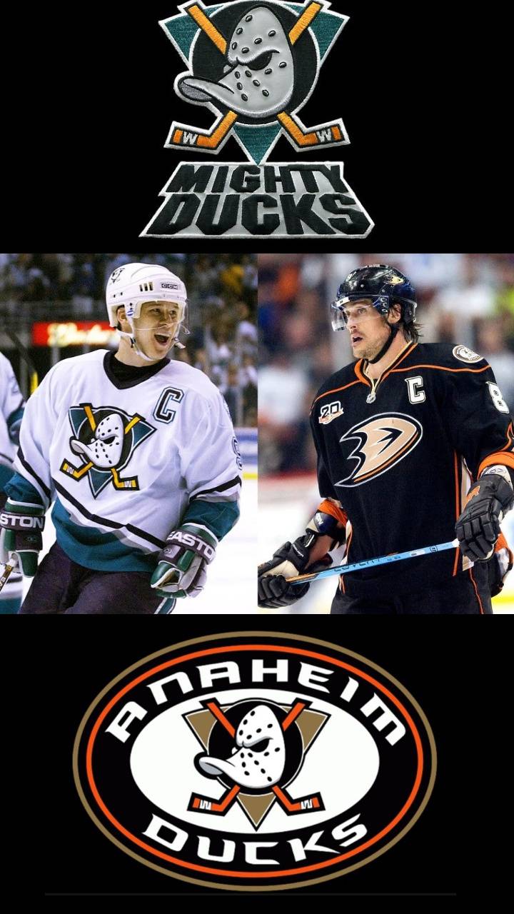 Logo Anaheim Ducks arena, 2880x1800 WQXGA, MacBook Pro