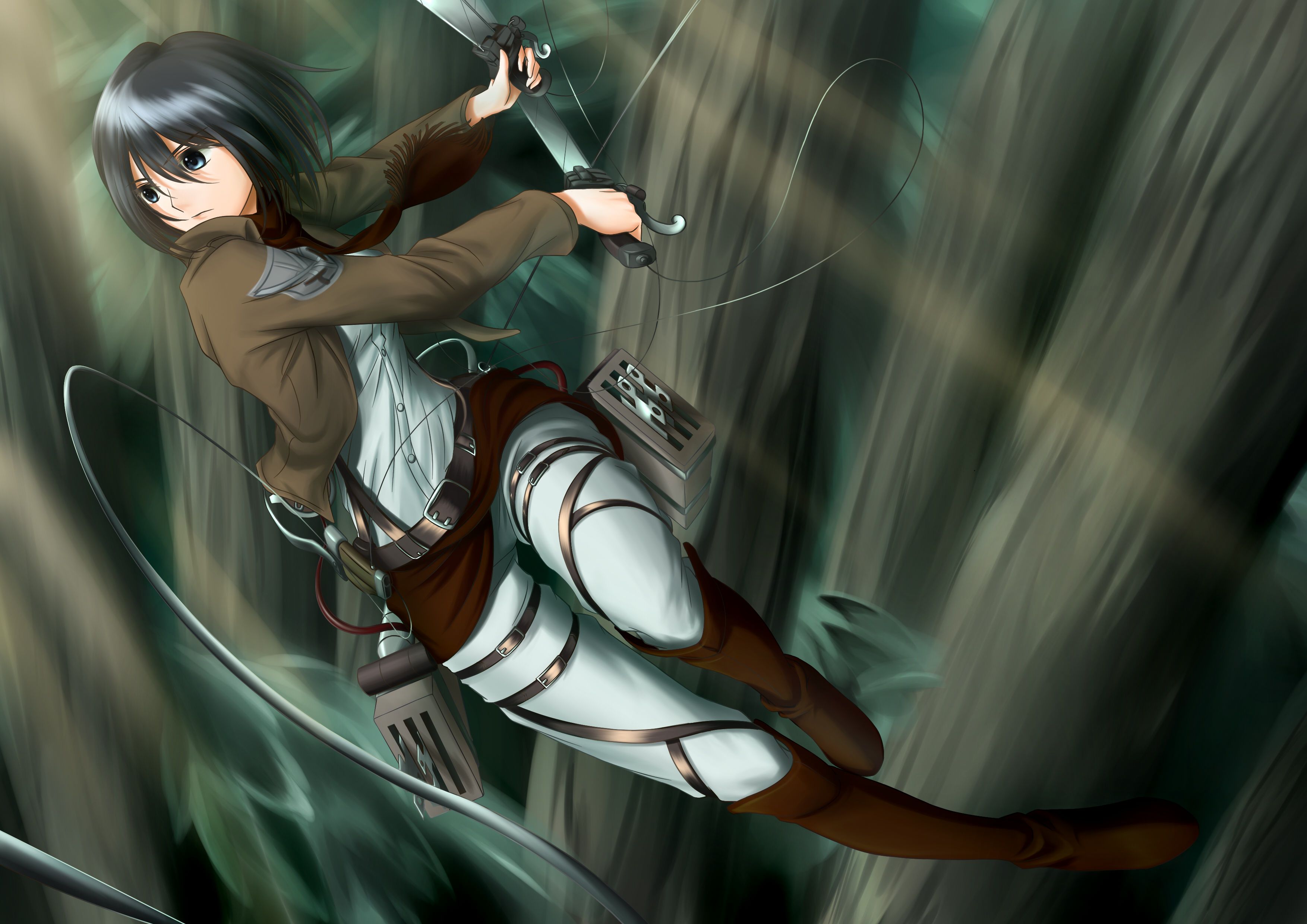 Mikasa Ackerman capelli lunghi, 1920x1080 Full HD, PC Desktop