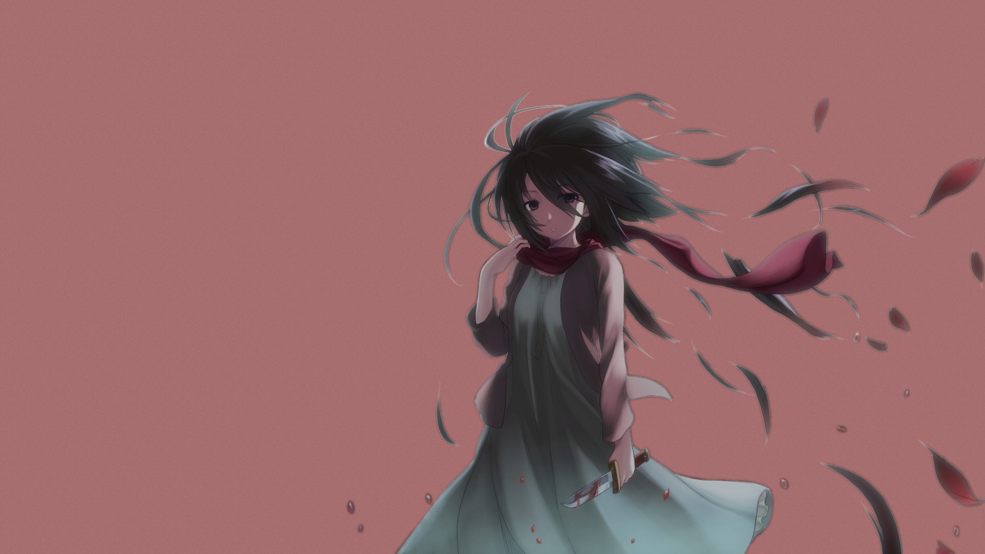 Mikasa Ackerman capelli lunghi, 1920x1080 1080p, Desktop