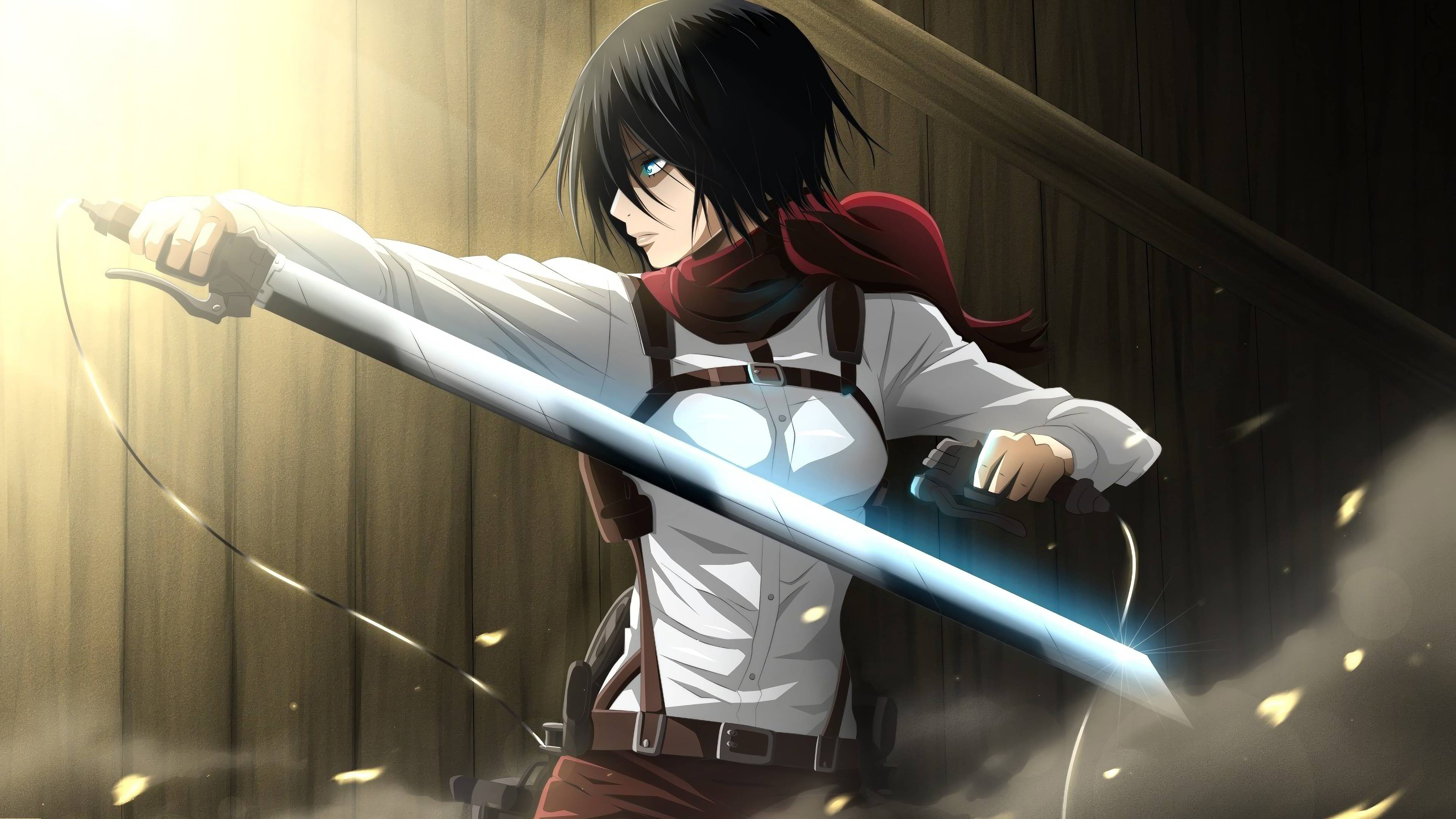 Levi e Mikasa, Attack on Titan, giganti, 1600x992 900p, PC