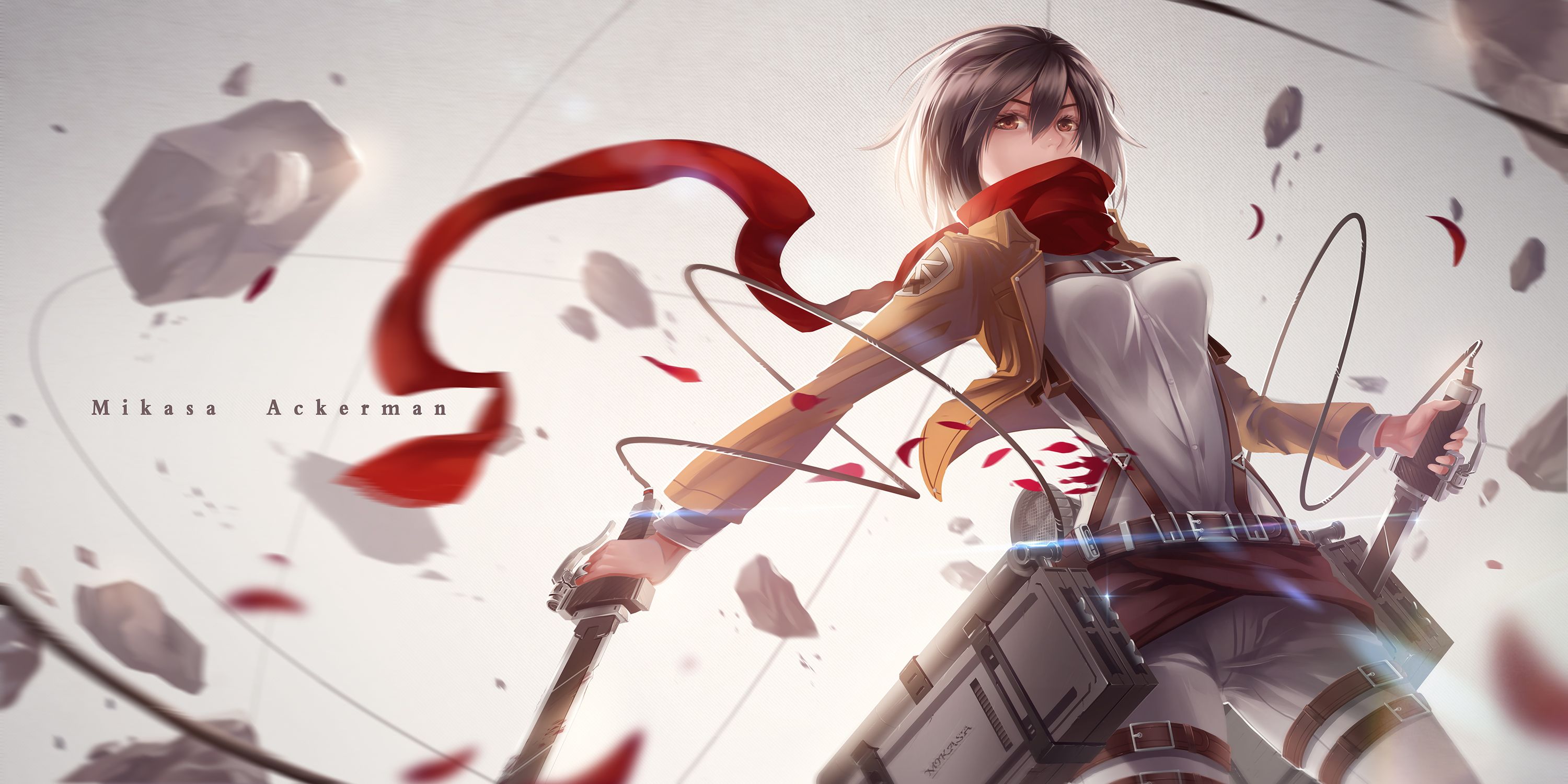 Mikasa Ackerman capelli lunghi, 1920x1080 1080p, Laptop