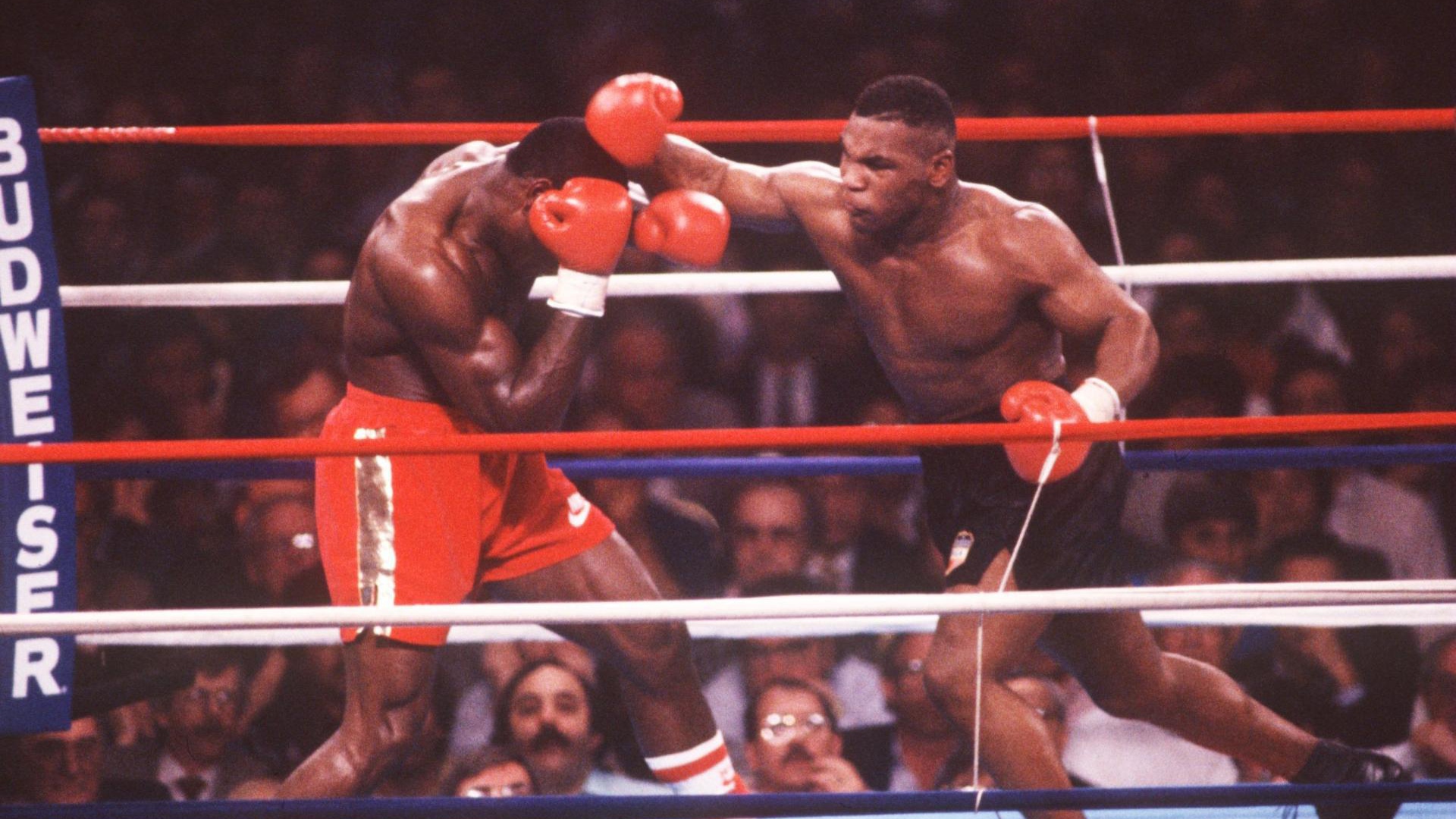 Mike Tyson combattimento sul ring, 1920x1080 Full HD, PC Desktop