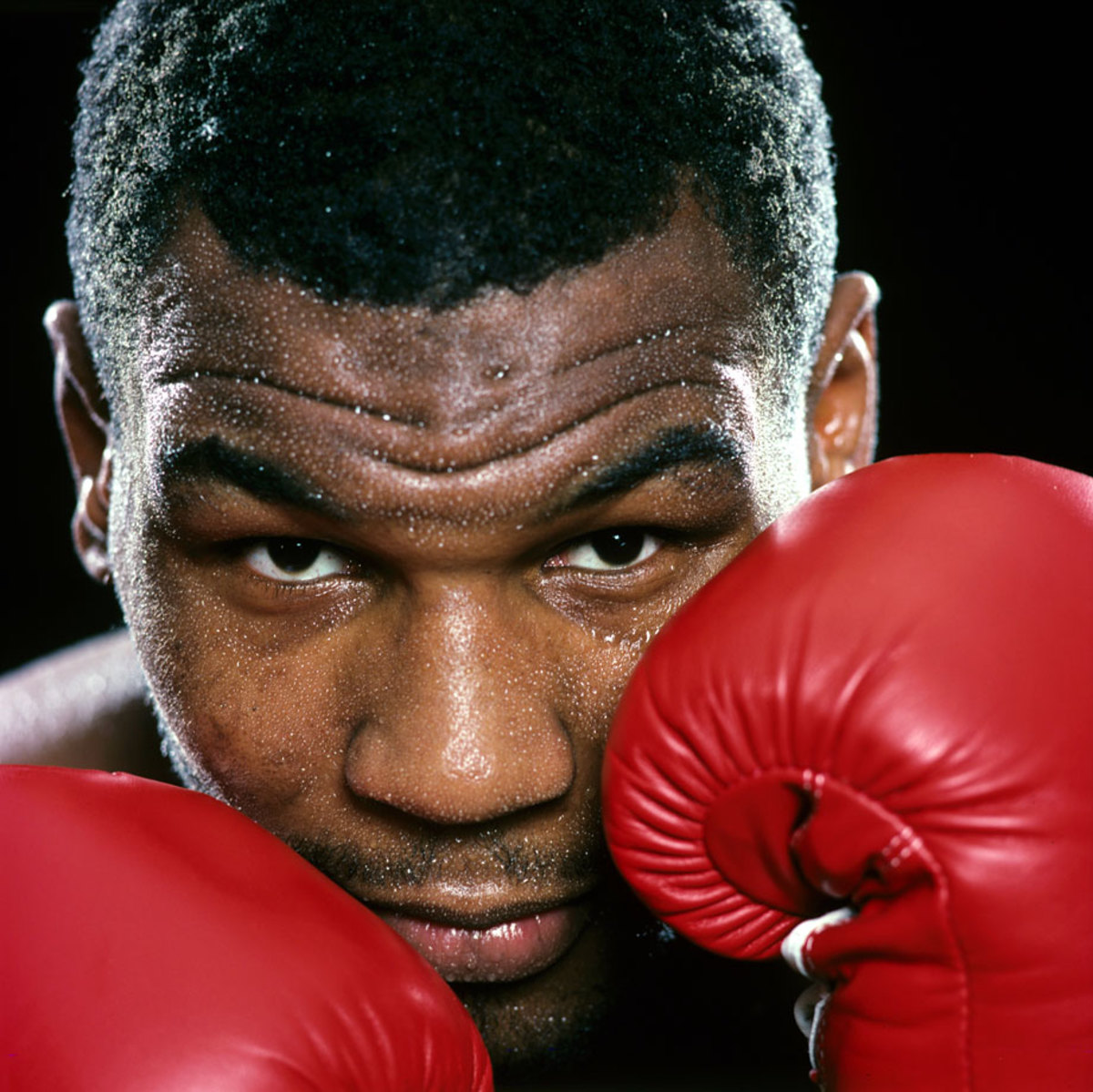 Mike Tyson guantoni rossi, 1200x1199 HD, Desktop