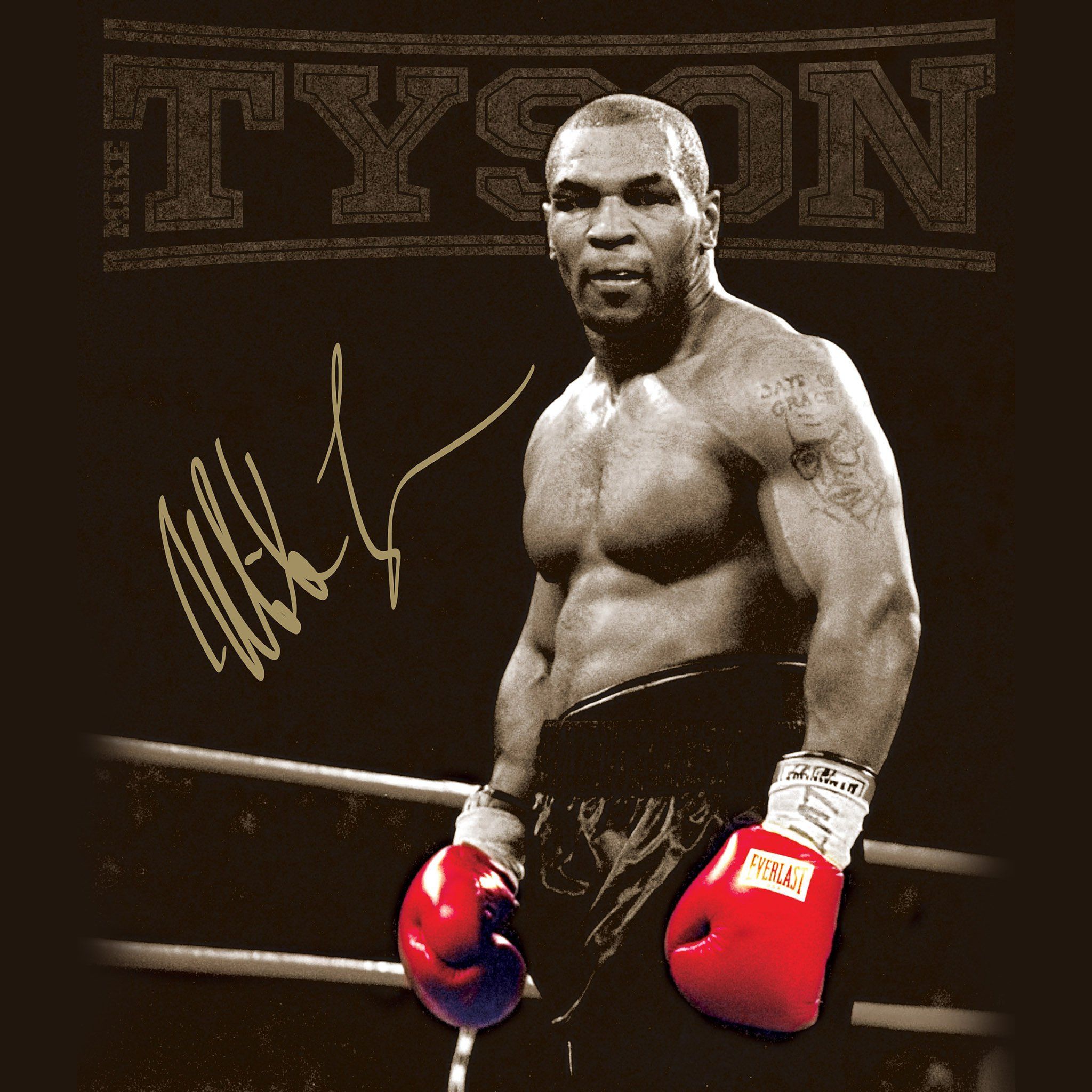 Mike Tyson pugile ring, 2048x2048 alta risoluzione, Laptop