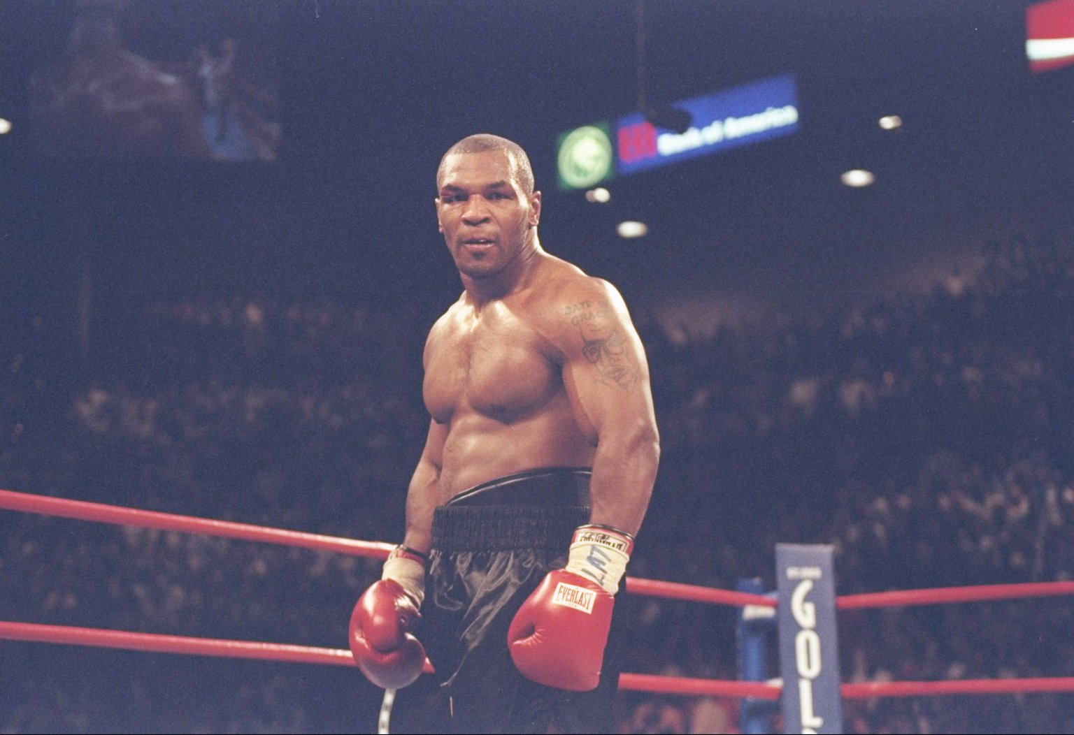 Mike Tyson sul ring boxe, 1536x1052 HD, Desktop