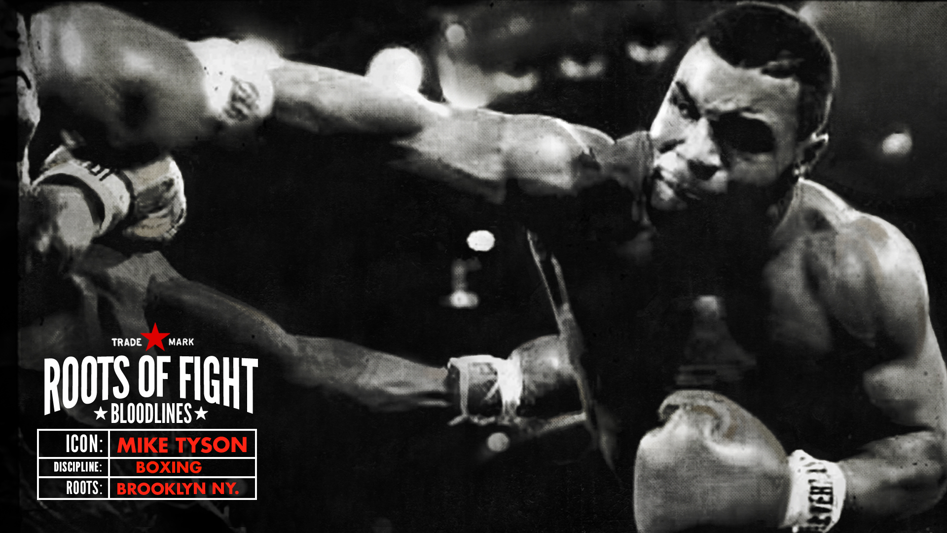 Mike Tyson pugilato bianco e nero, 1920x1080 Full HD 1080p, PC Desktop