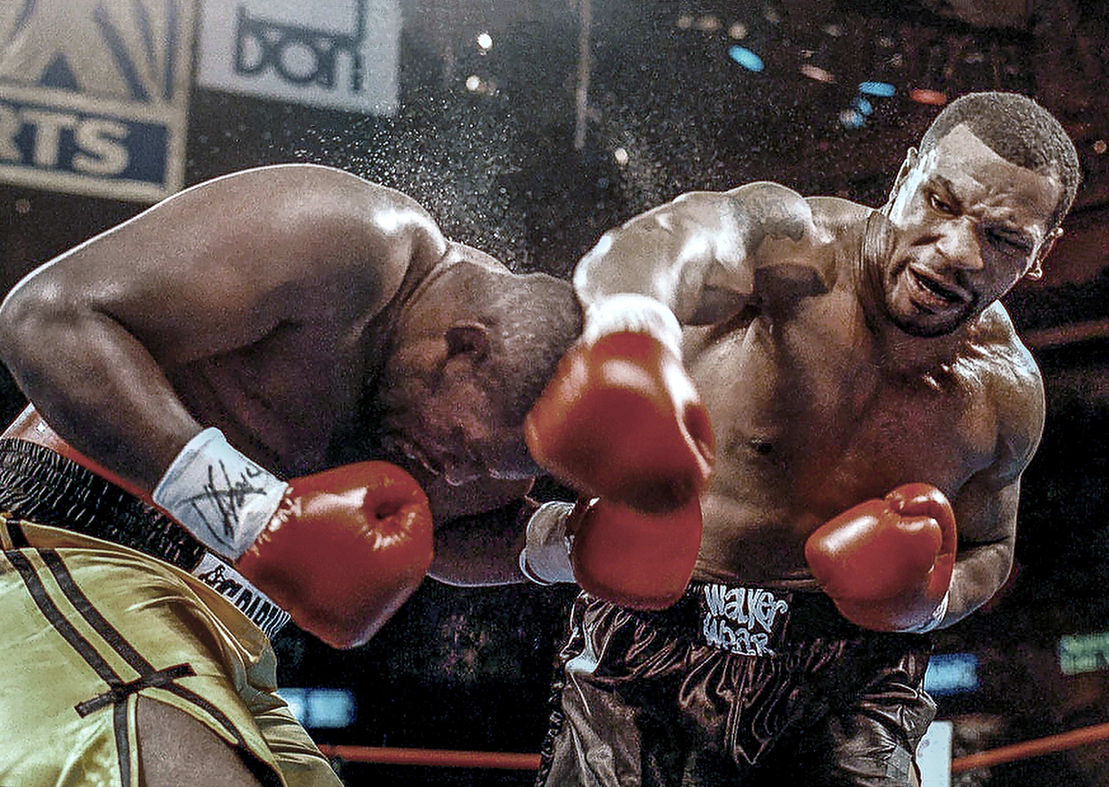 Pugili in match di boxe, 4224x3000 4K, Desktop 4K