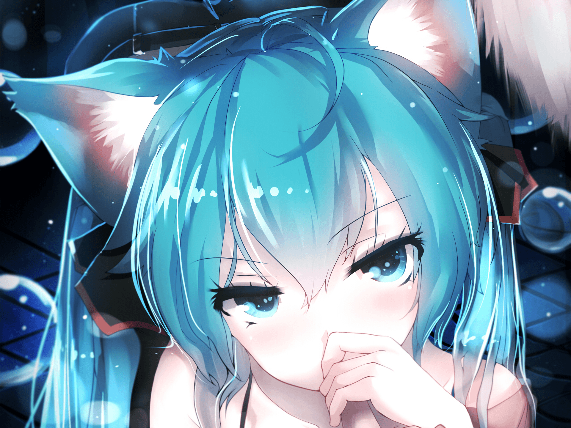 Hatsune Miku orecchie da gatto, 1440x810 720p, Laptop