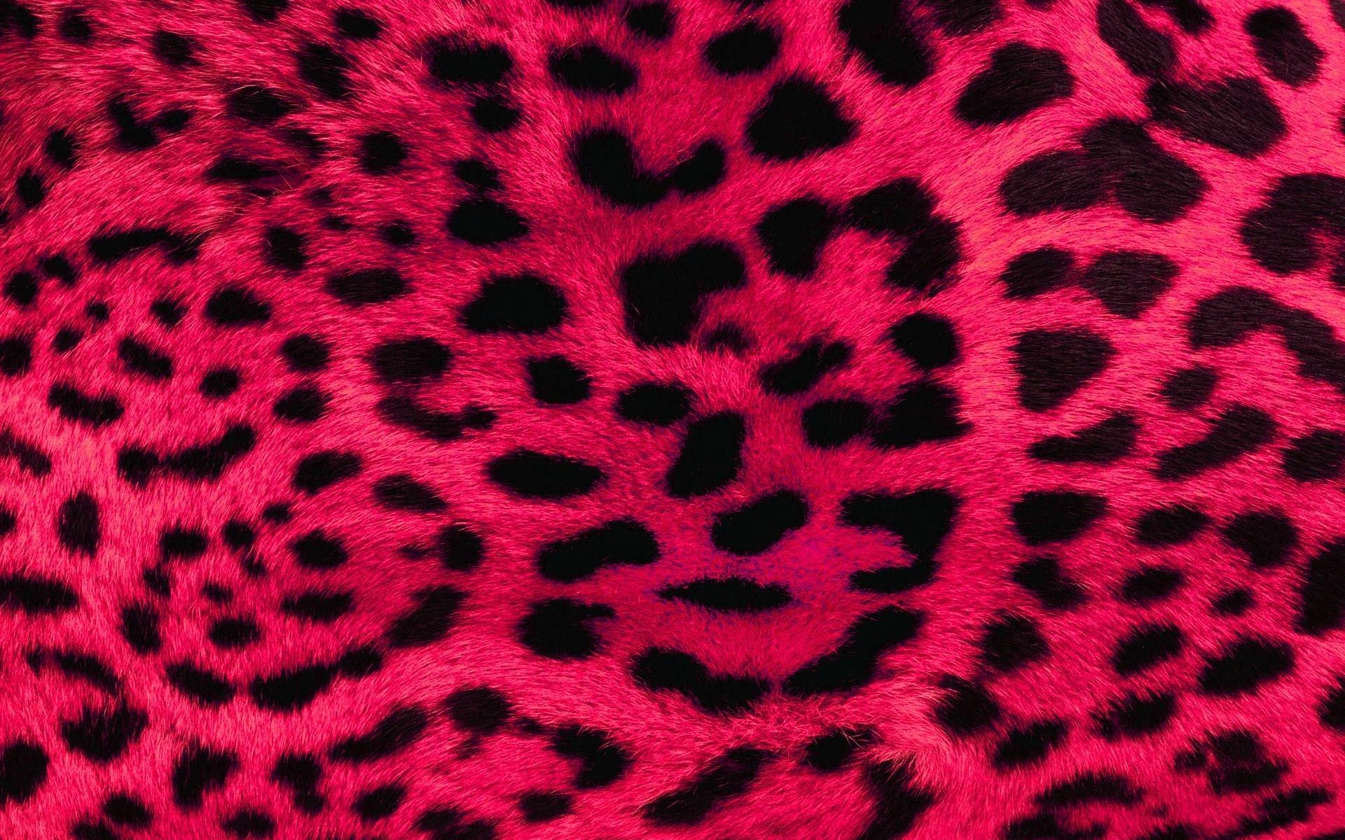 Stampa leopardata rosa e nera, 1920x1200 Full HD+ WUXGA, PC Desktop