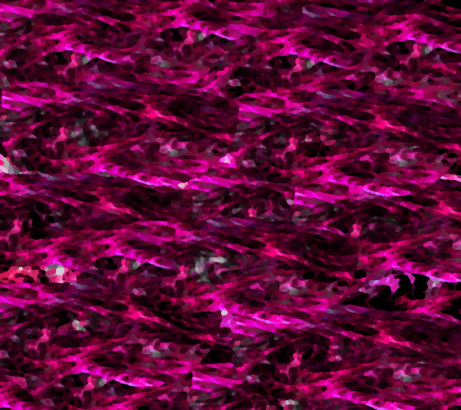 Mimetico rosa rami e foglie, 1425x1128 HD, Desktop