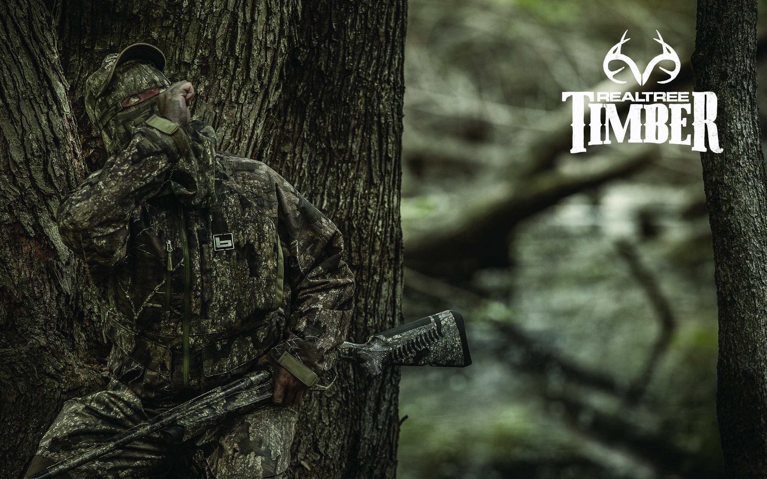 Cacciatore mimetico Realtree Timber, mimetica caccia, 2560x1600 WQXGA, Desktop