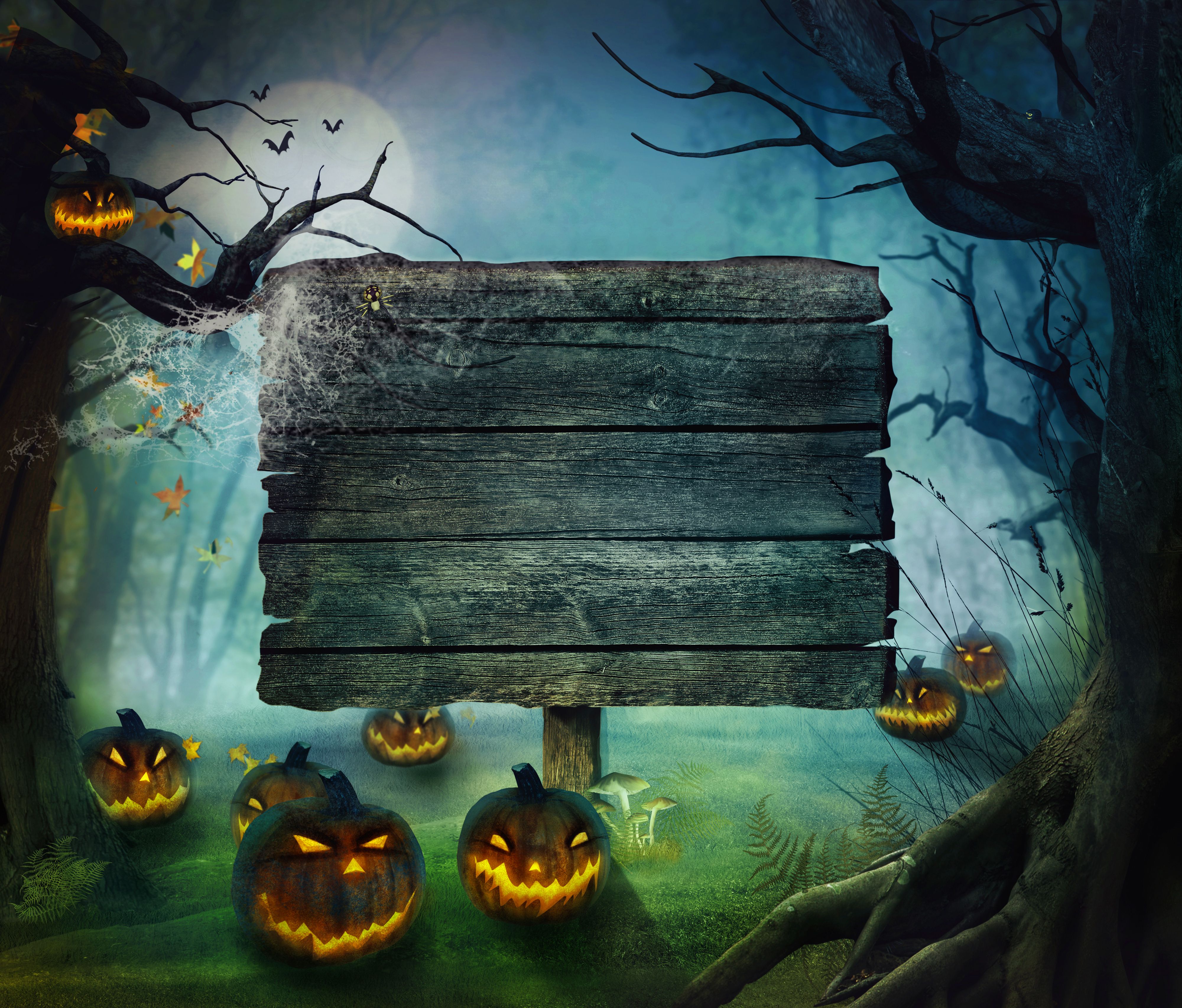 Cartello legno zucche Halloween, 4000x3409 4K, Smart TV 4K