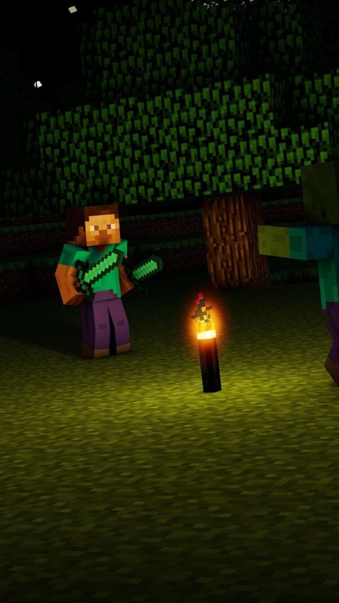 Steve di Minecraft, sfondo diviso, 2732x2048 WQXGA, Desktop