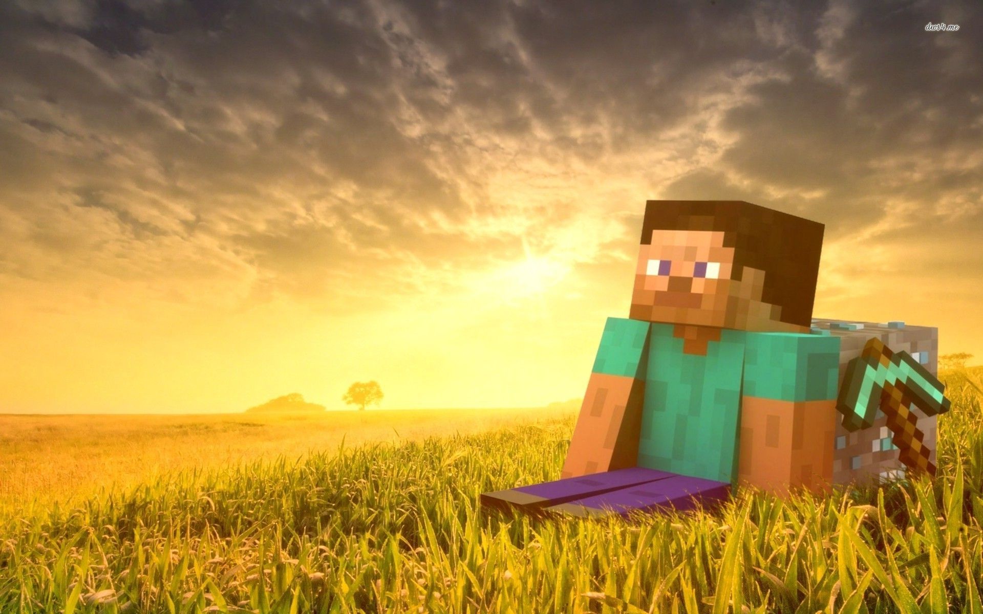 Steve Minecraft tramonto prato, Mojang, 1920x1200 WUXGA, Laptop