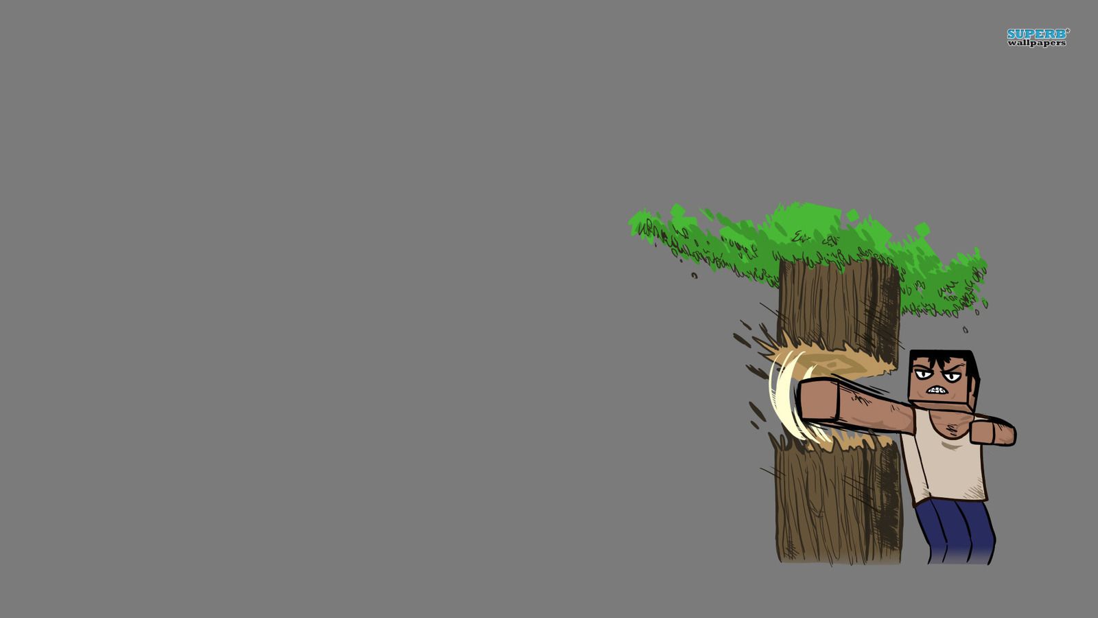 Steve Minecraft su maiale, 1920x1080 Full HD 1080p, PC