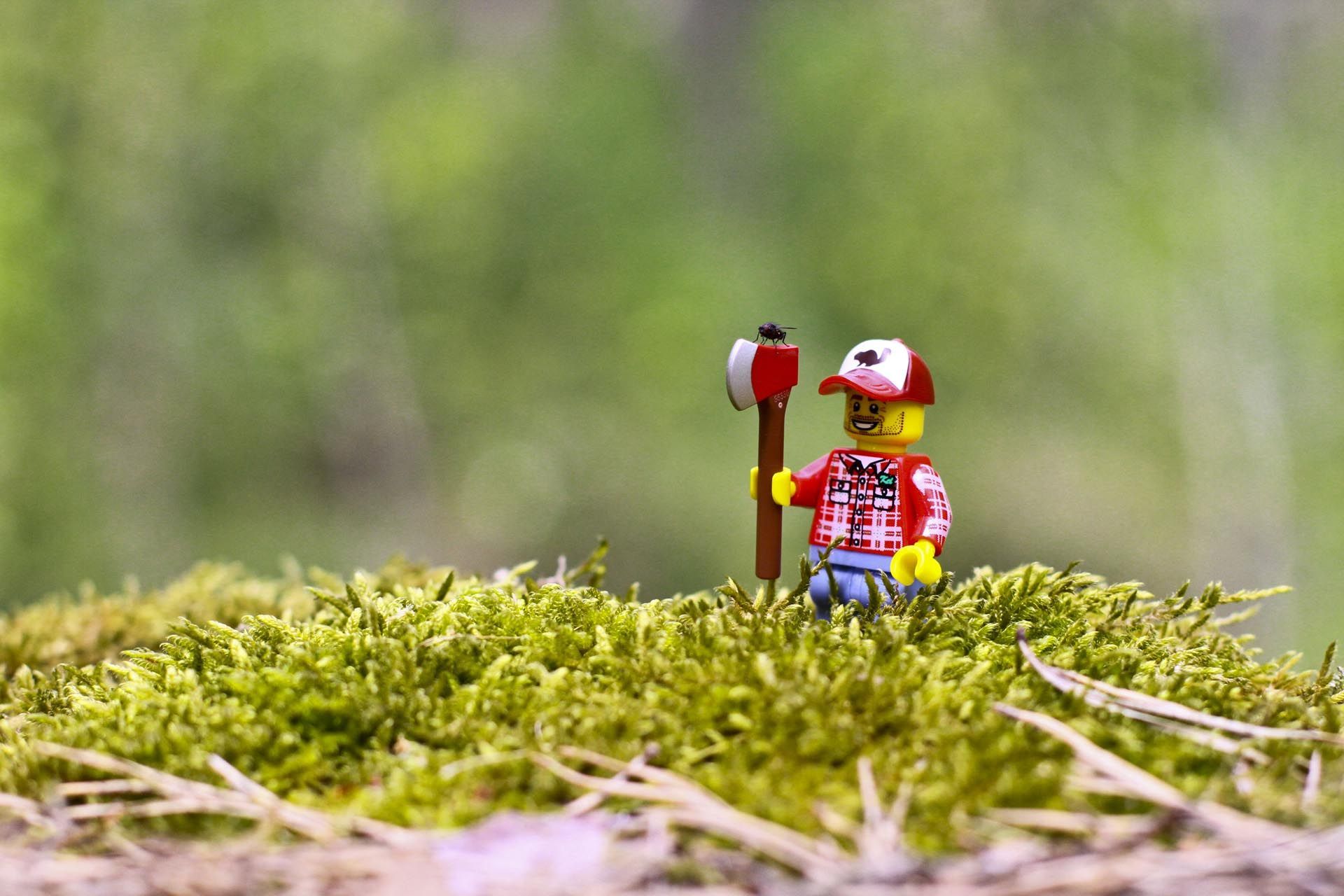 Minifigure LEGO boscaiolo muschio, 1920x1280 WUXGA, Laptop