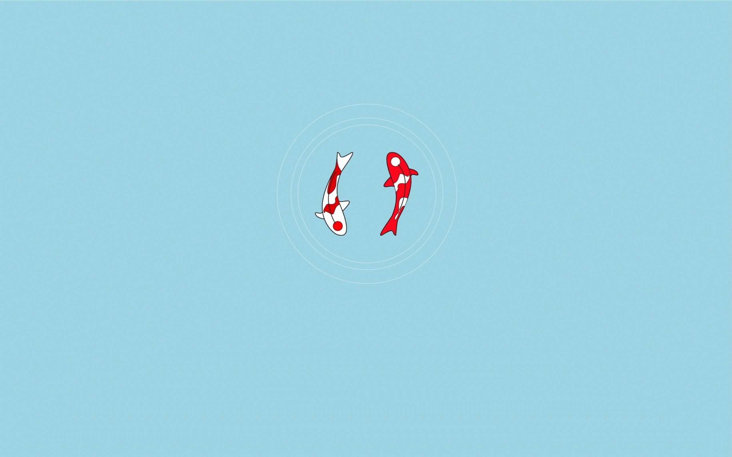 Pesci koi minimal azzurro, 2560x1600 2K+, Desktop