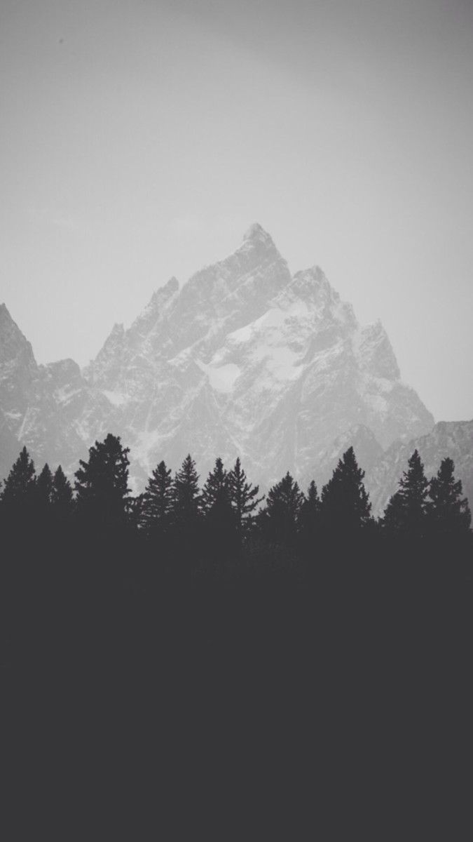 Montagna e foresta grigia, 675x1200 Verticale, iPhone Plus