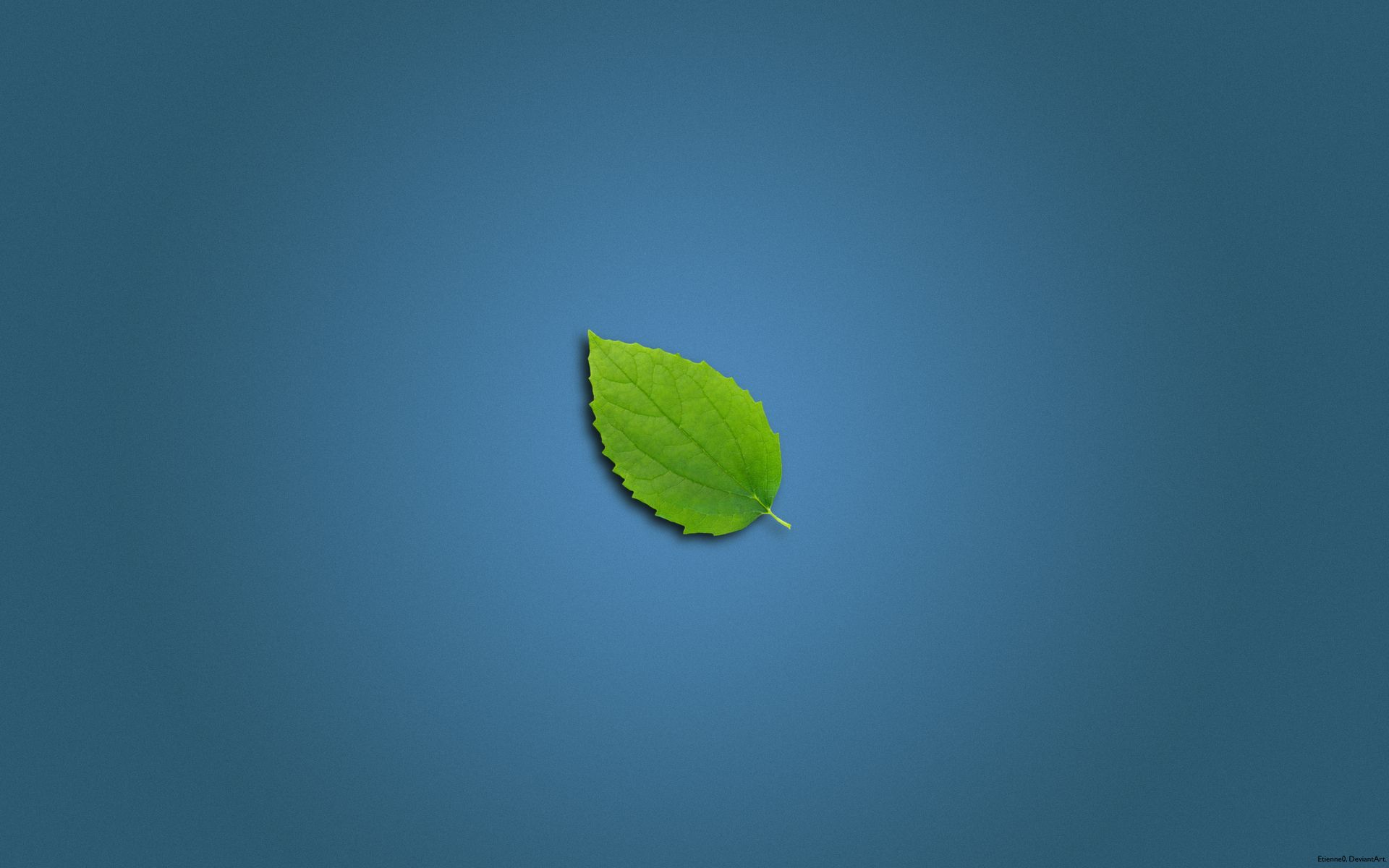 Foglia verde su blu, 1920x1200 Full HD+, PC Desktop