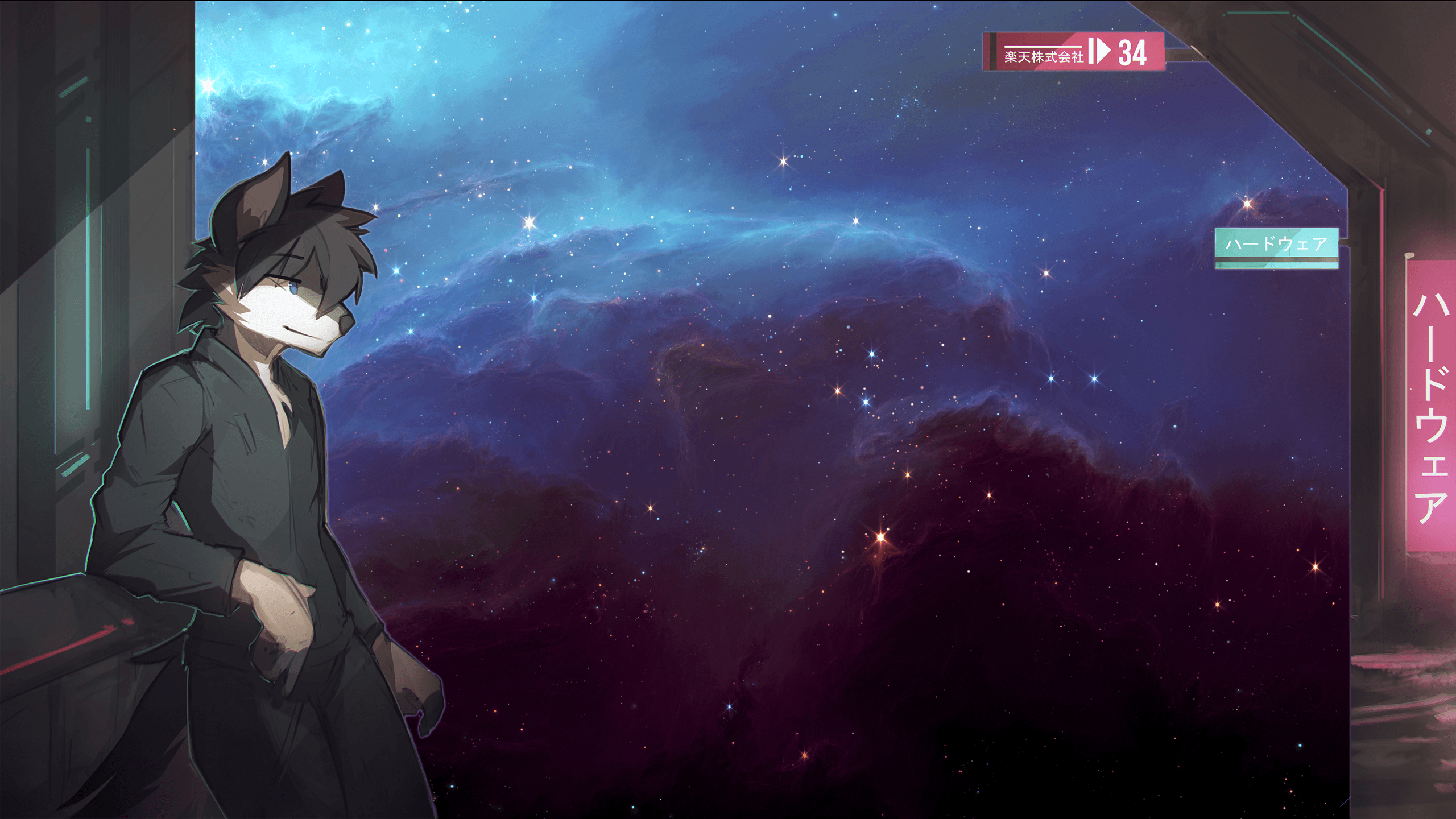 Furry con maschera, cielo stellato, 2560x1440 2K QHD, Monitor Gaming