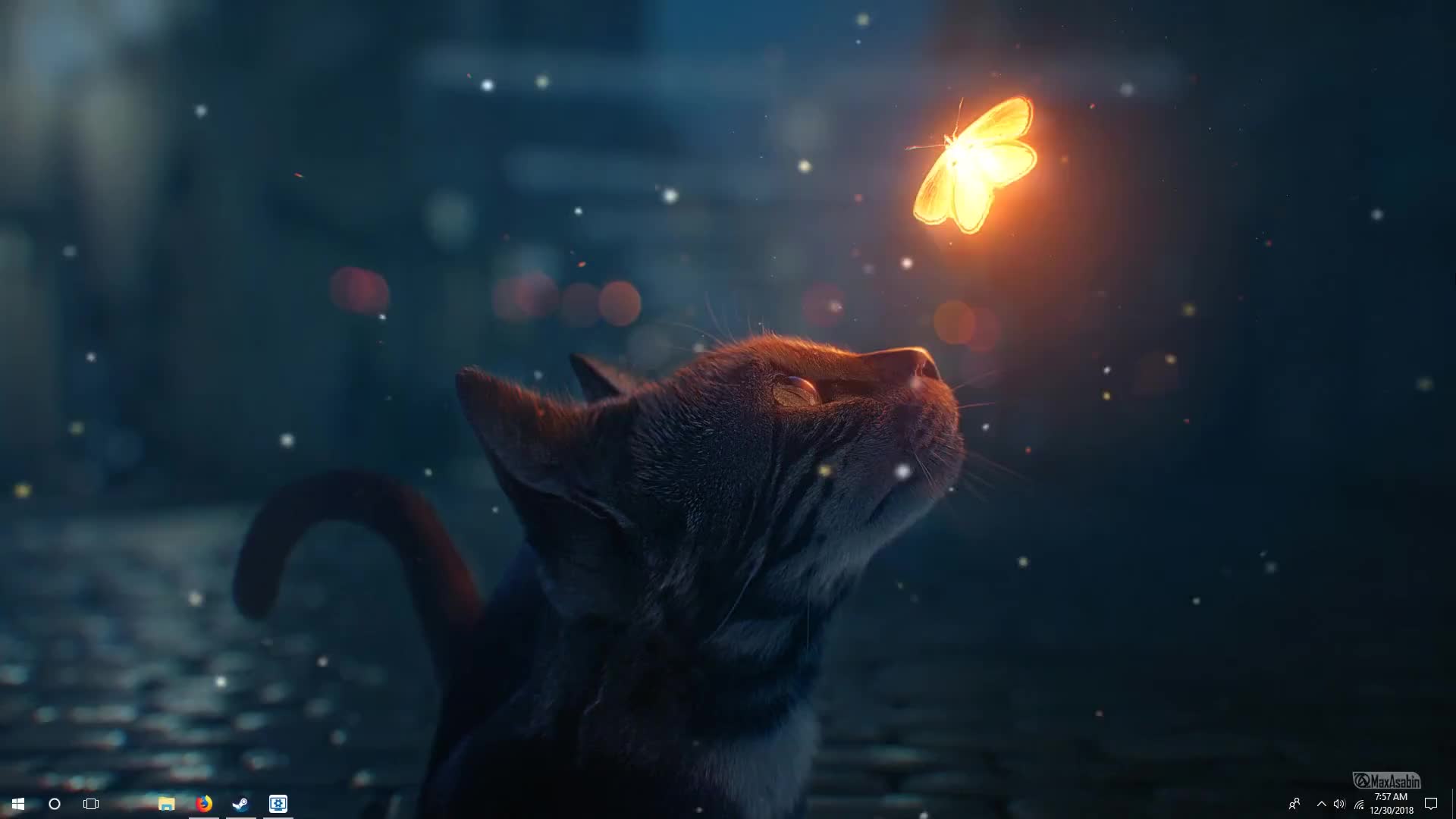 Gatto e farfalla luminosa, 1920x1080 Full HD, Desktop
