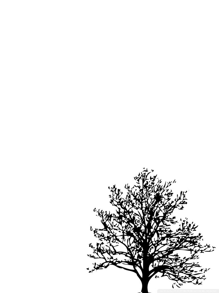 Albero silhouette minimalista bianco, 768x1024 Verticale, iPhone Pro Max