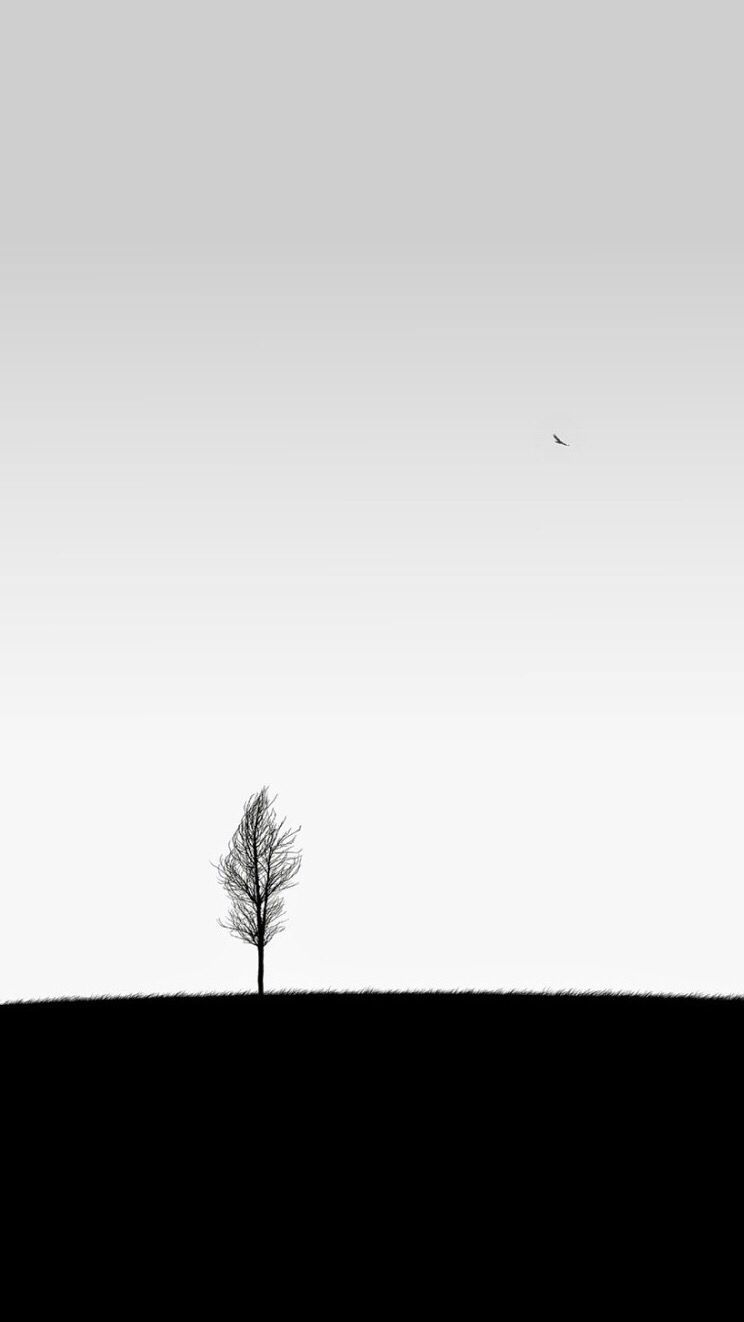albero solitario minimalista bianco, 744x1322 Verticale, iPhone Air