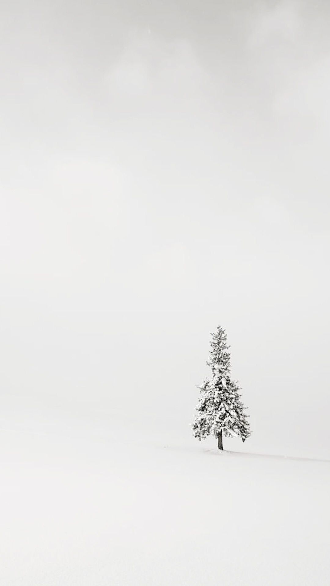 Albero solitario nella neve, 1080x1920 Full HD Verticale, iPhone