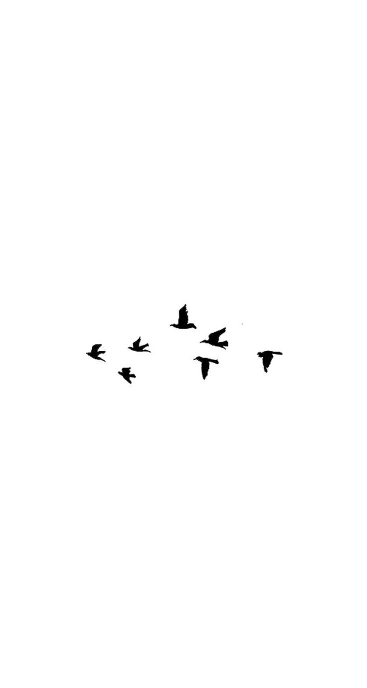 Uccelli in volo minimalista, 736x1377 Verticale, iPhone Pro Max