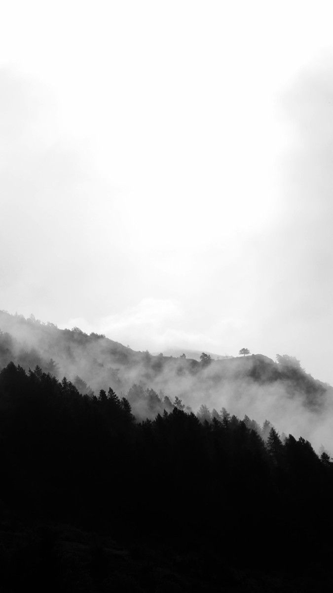 Foresta nebbiosa bianco e nero, 675x1200 Verticale, iPhone Pro