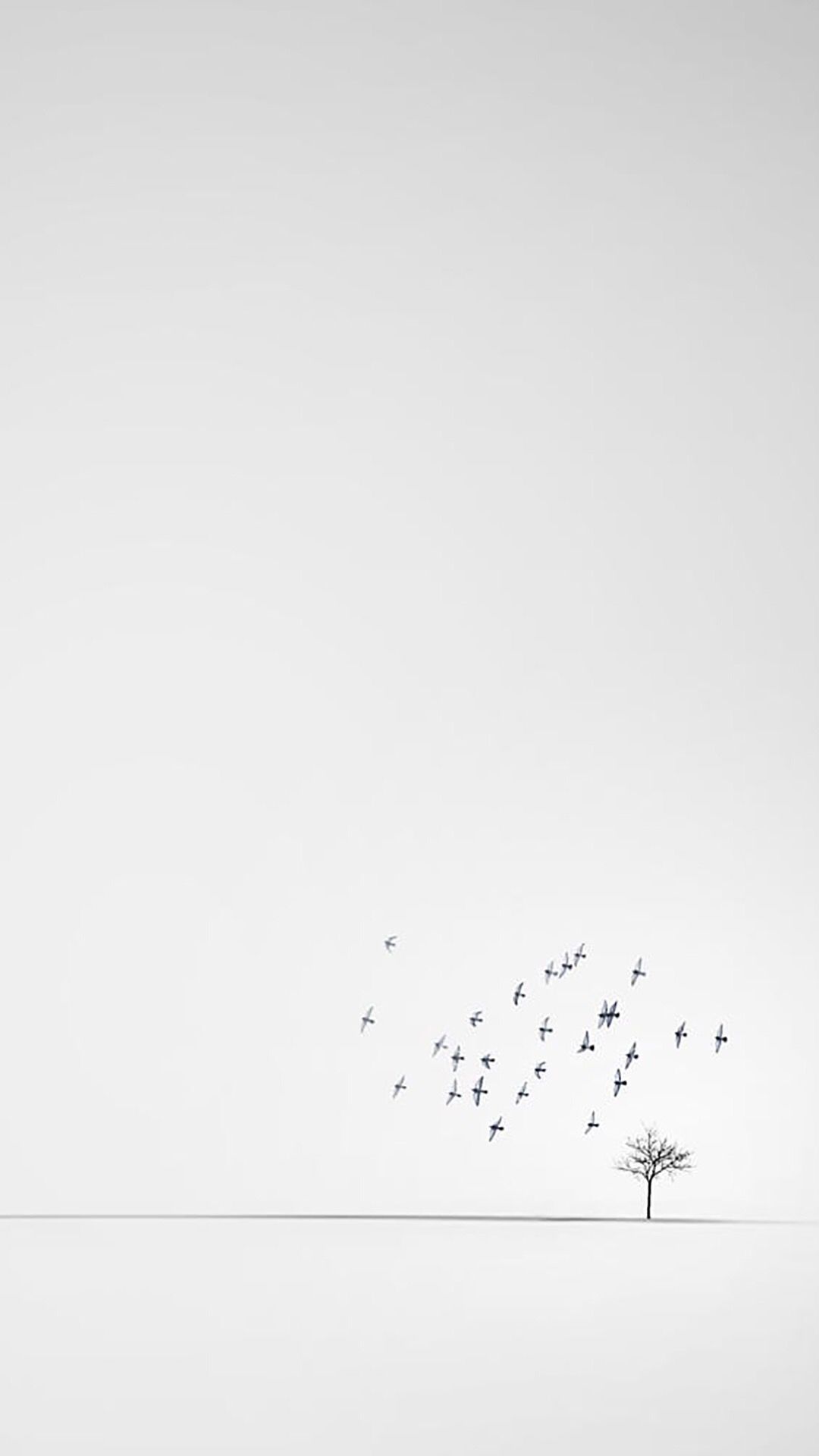 Albero solitario con uccelli, 1080x1920 Full HD Verticale, iPhone Pro Max