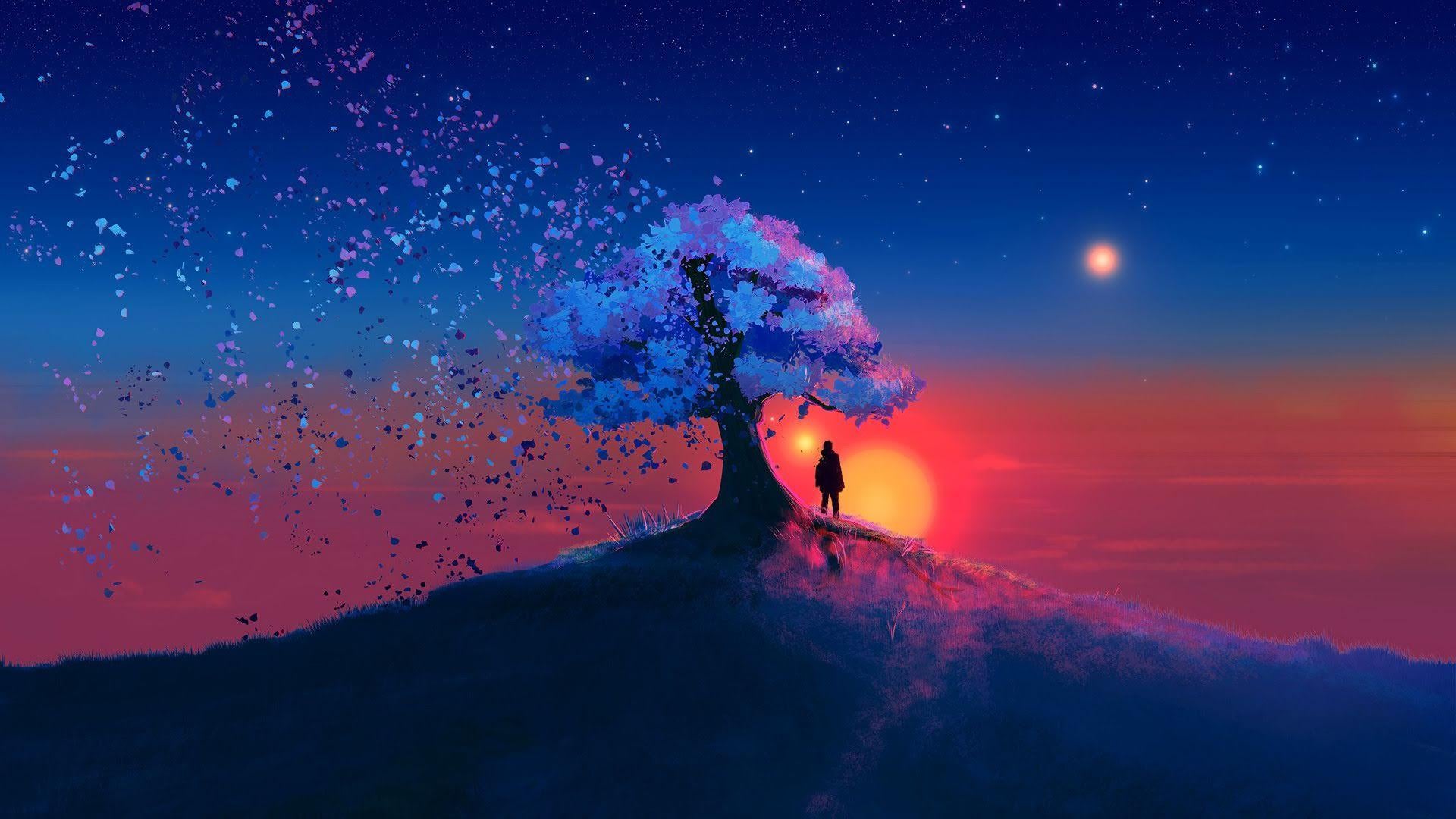 Albero fiorito silhouette tramonto, 1920x1080 1080p, Desktop