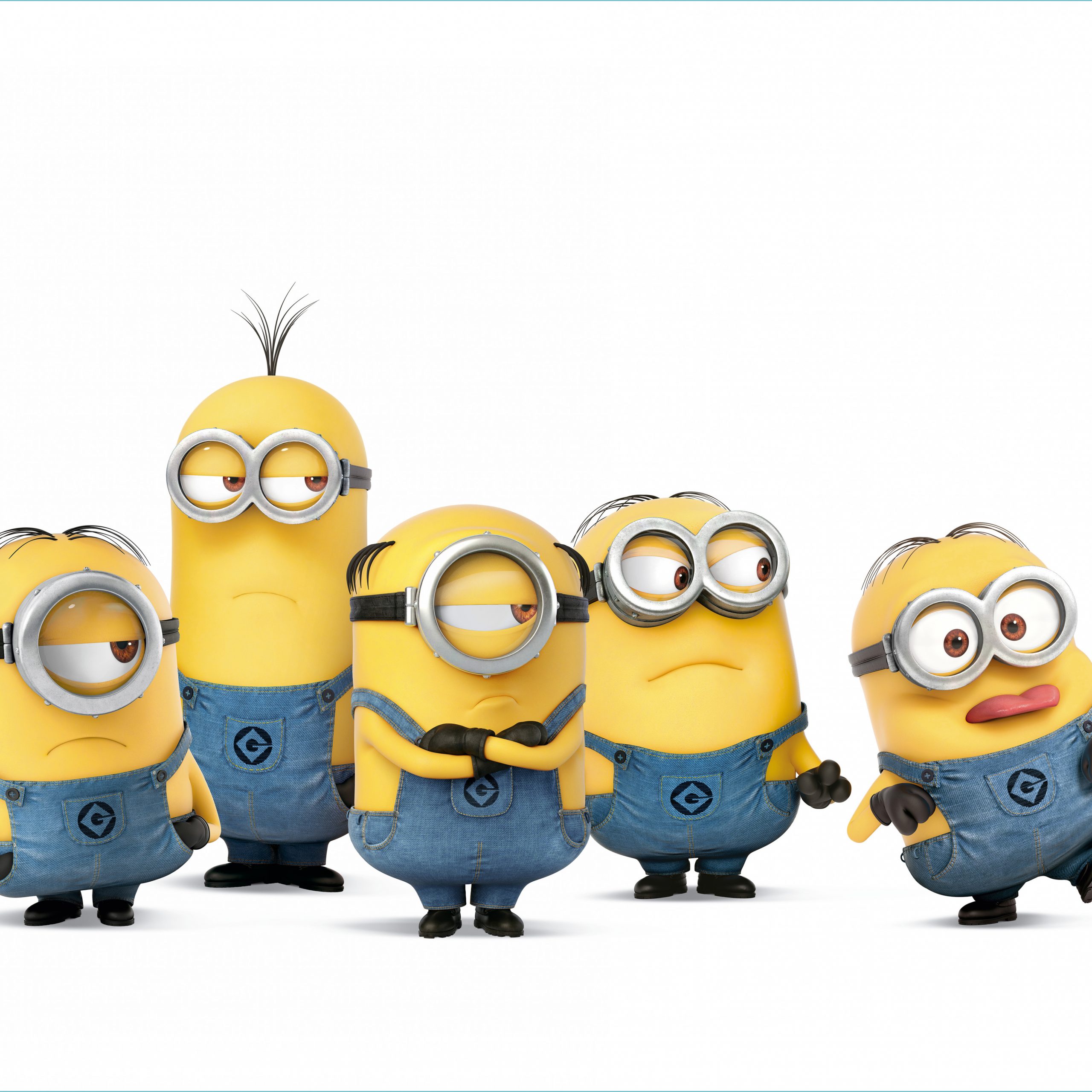 Gruppo di Minions, 2560x2560 2K+, Desktop